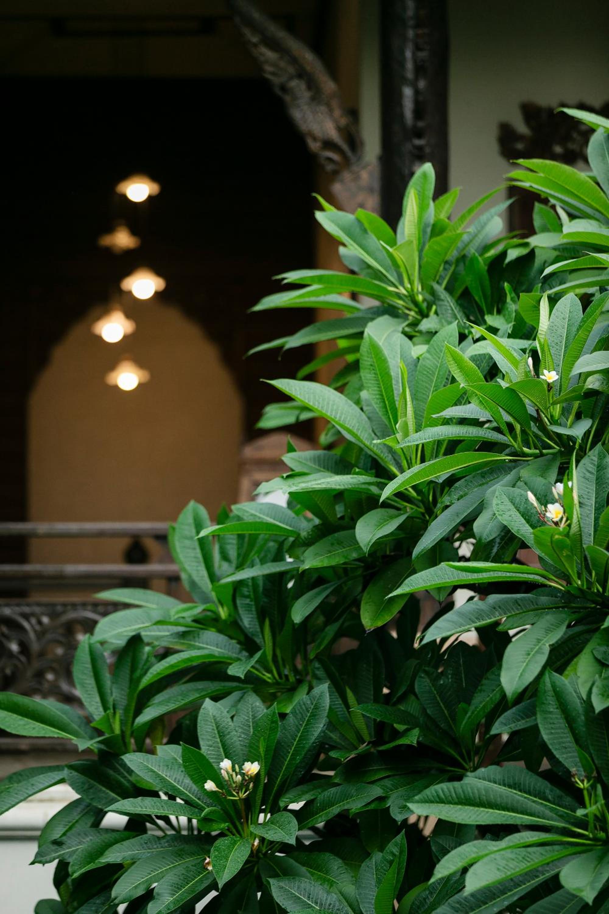 Amata Lanna Chiang Mai, One Member of the Secret Retreats