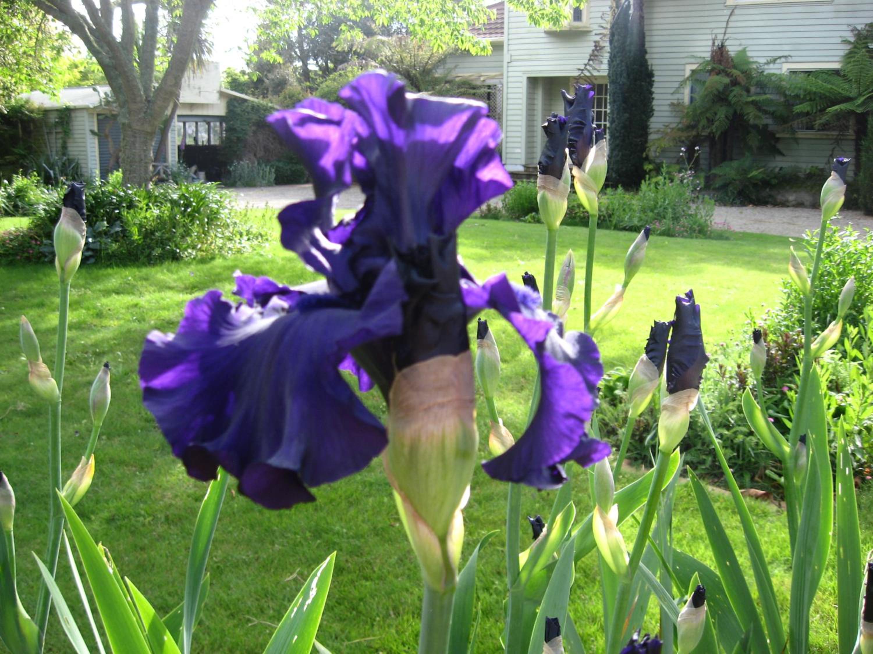 Photo 27