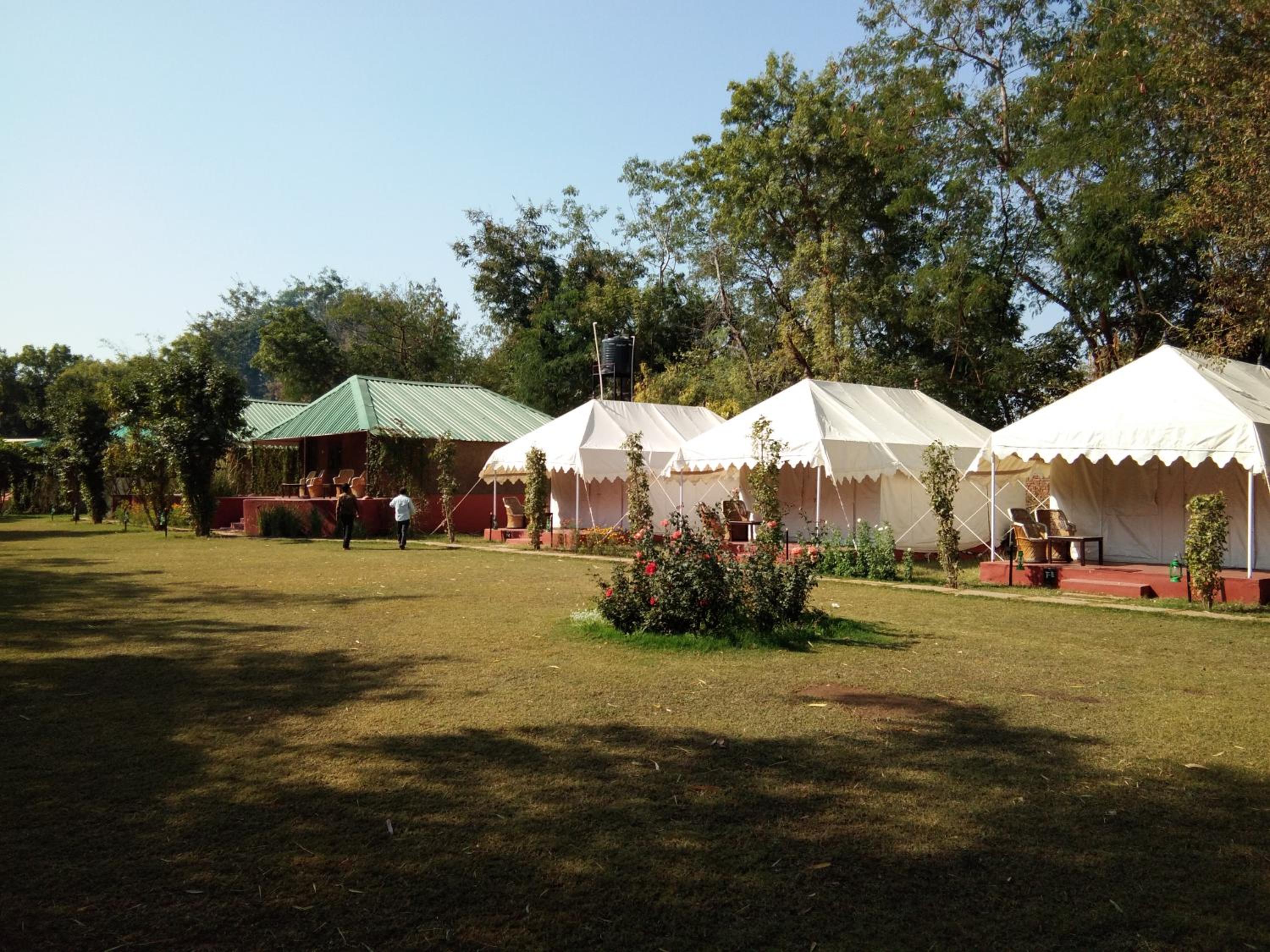 Jungle View Resort Ranthambhore