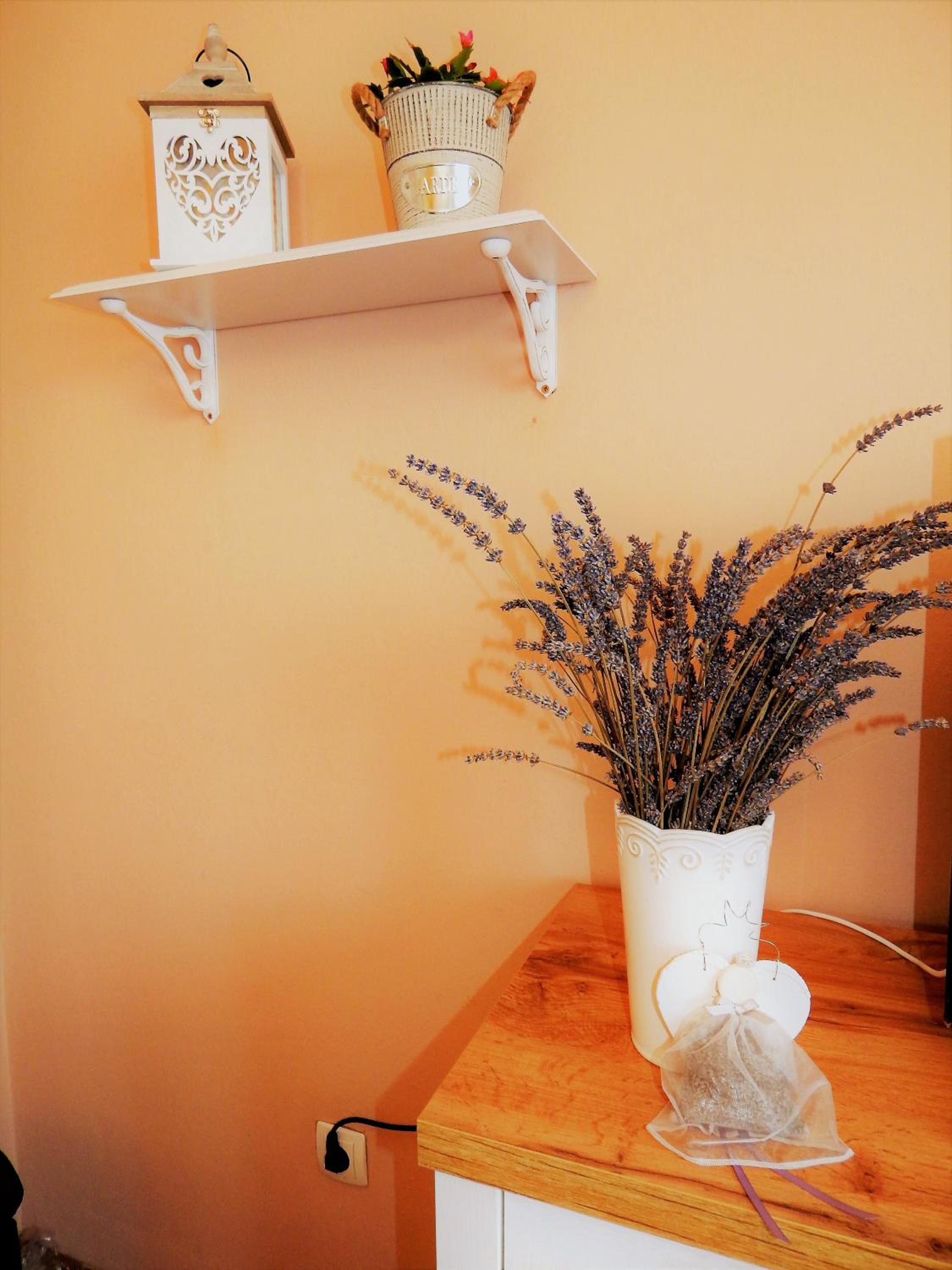 Studio APARTMAN TVRTKO view 2