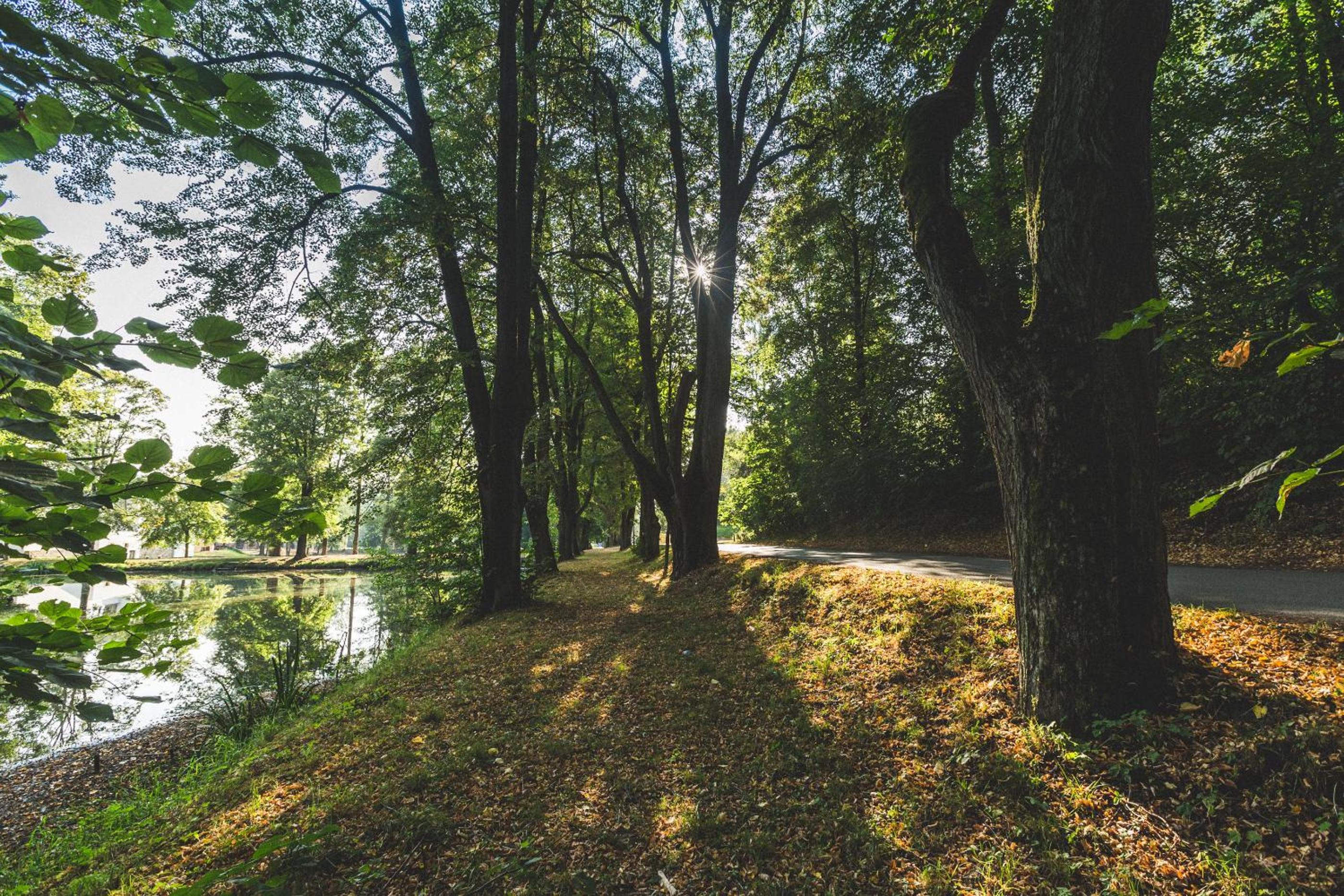 Pivovar a Penzion GRASEL view 2