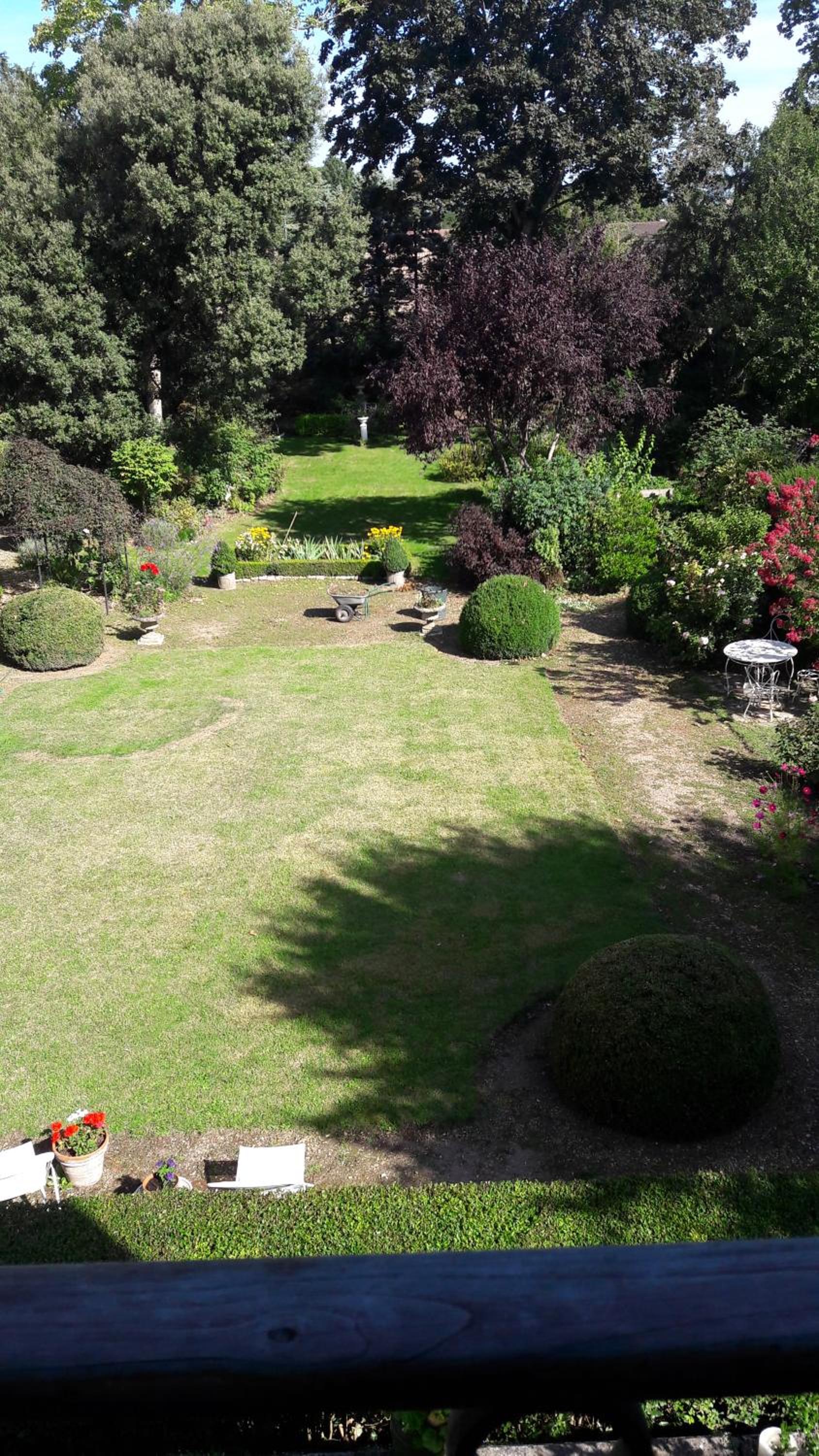 Photo 11