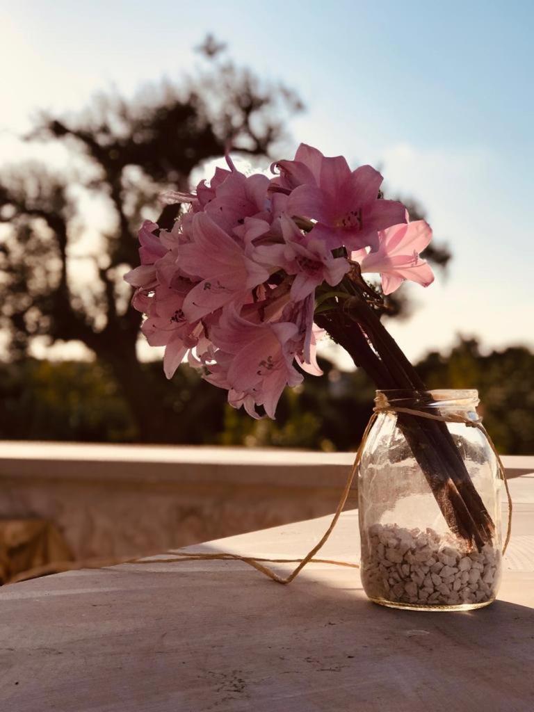 Trullo Cristelle