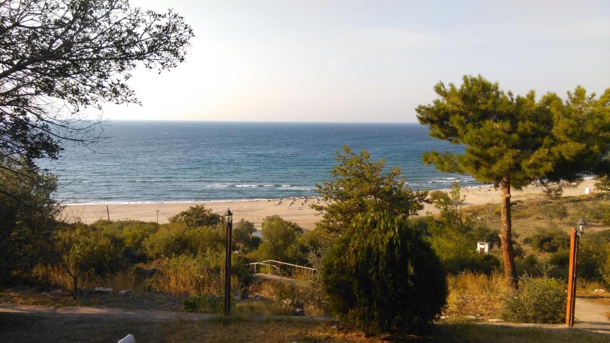 Evim Zeytinlik Pension view 4