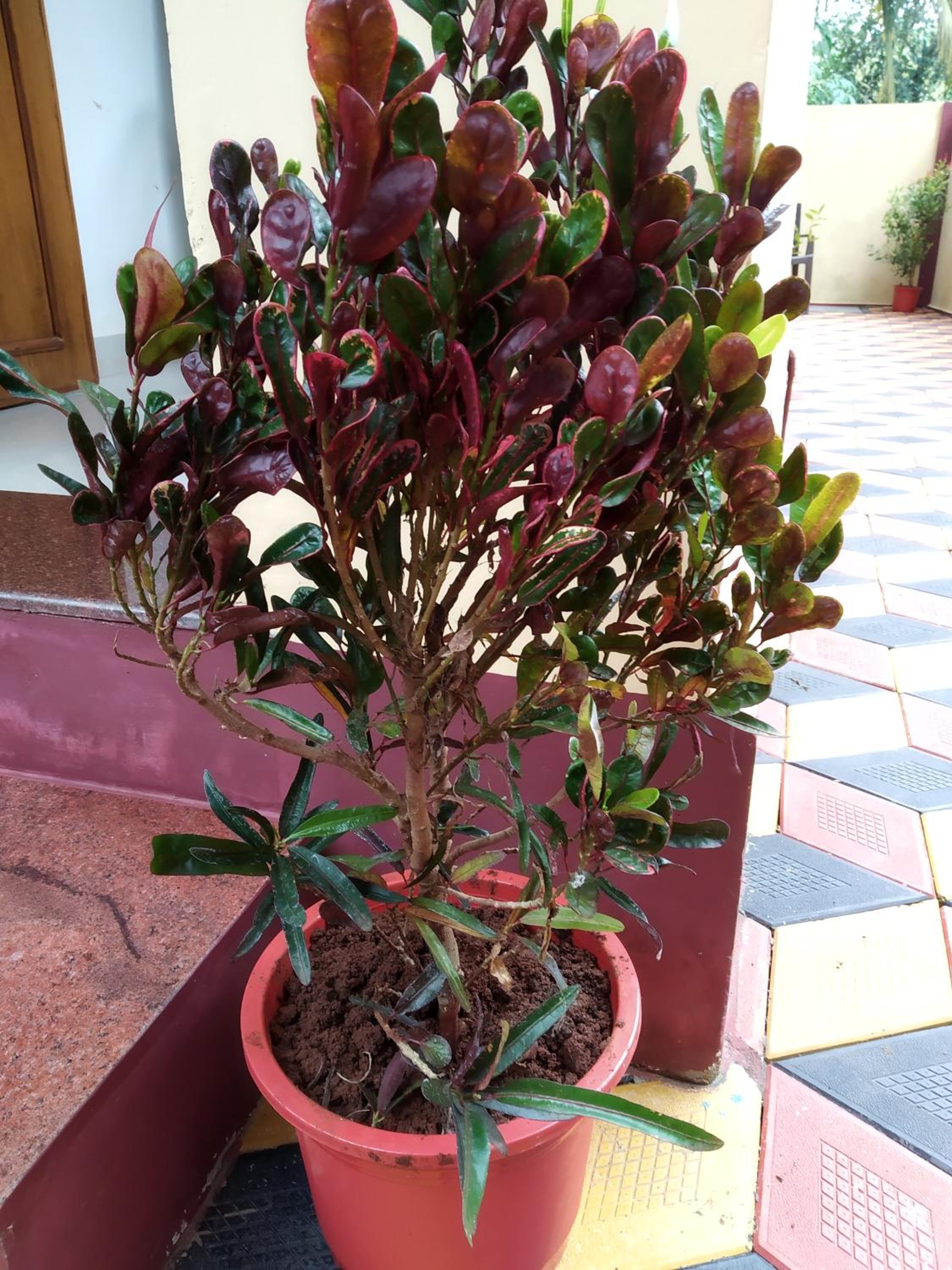 Photo 14