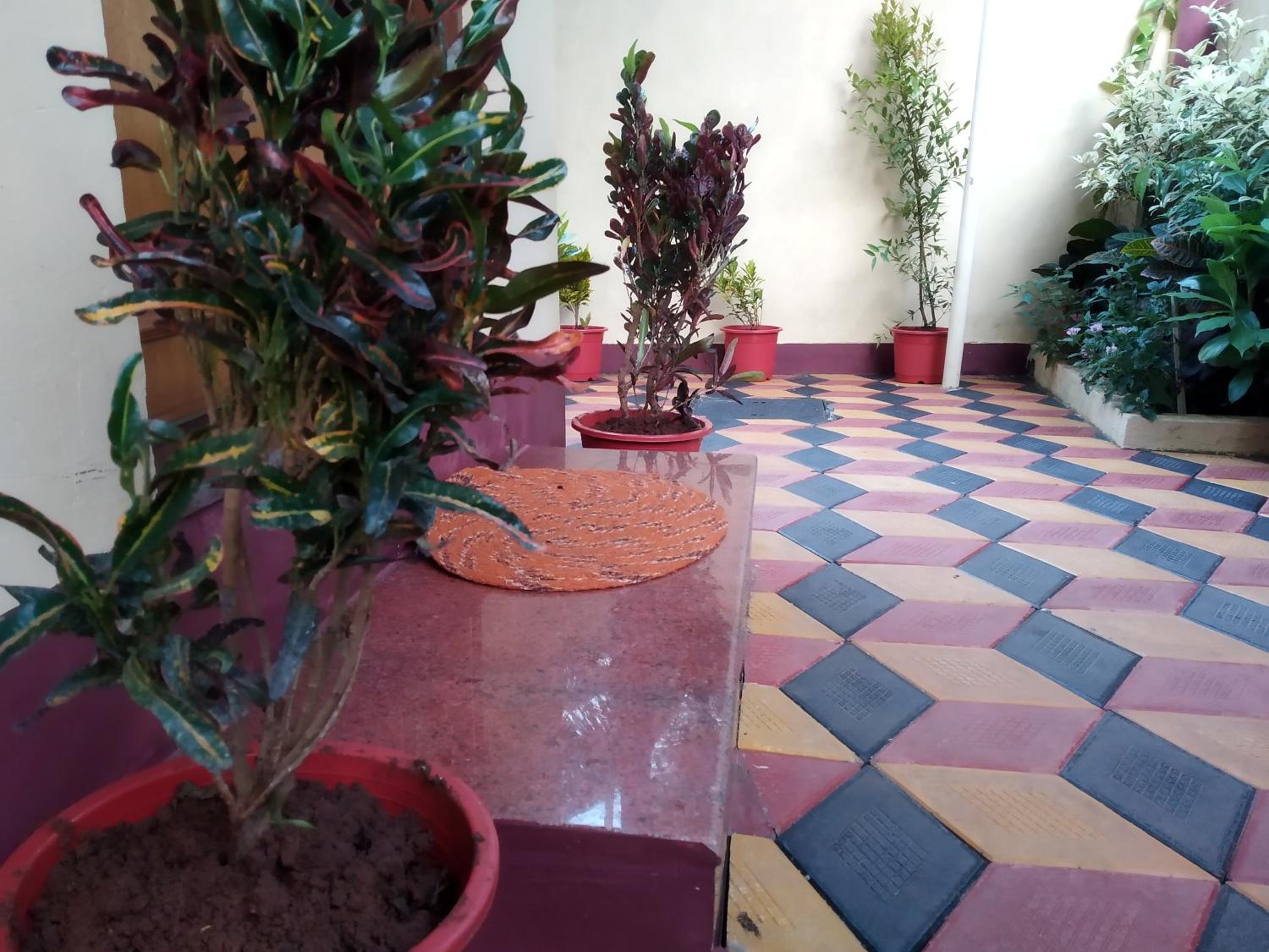 Photo 13