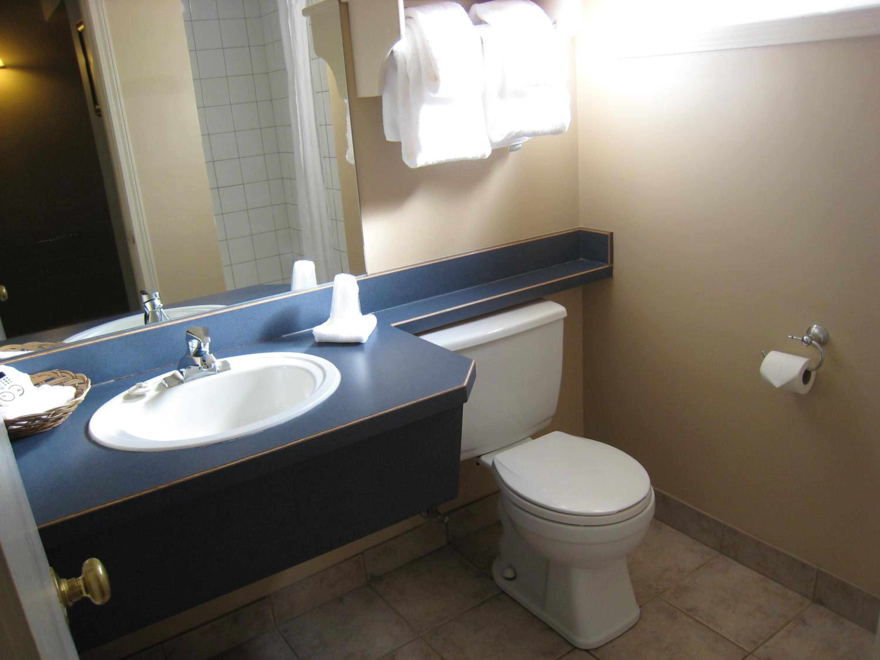 Revelstoke Lodge