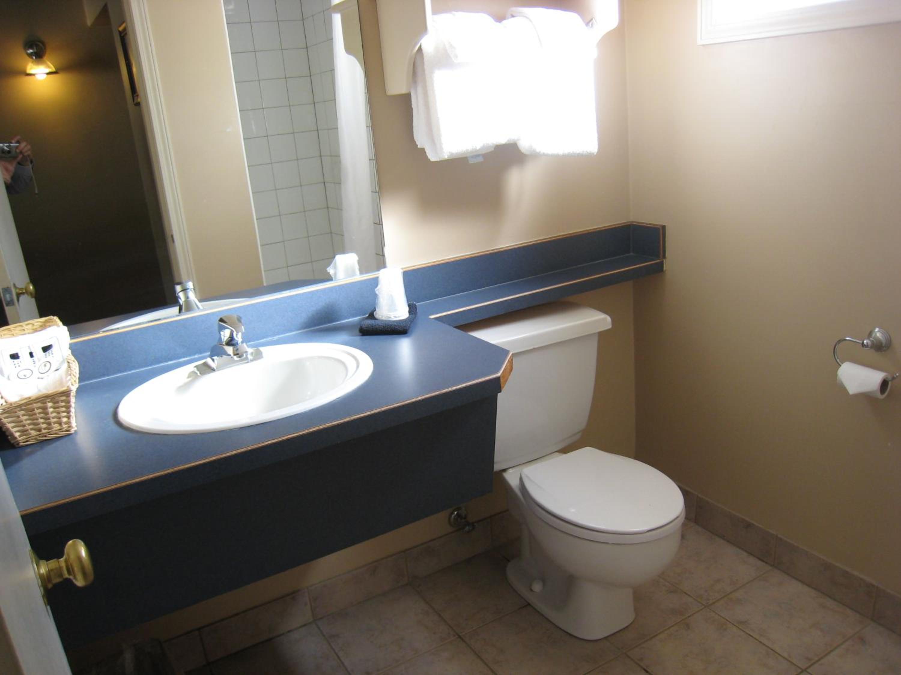 Revelstoke Lodge