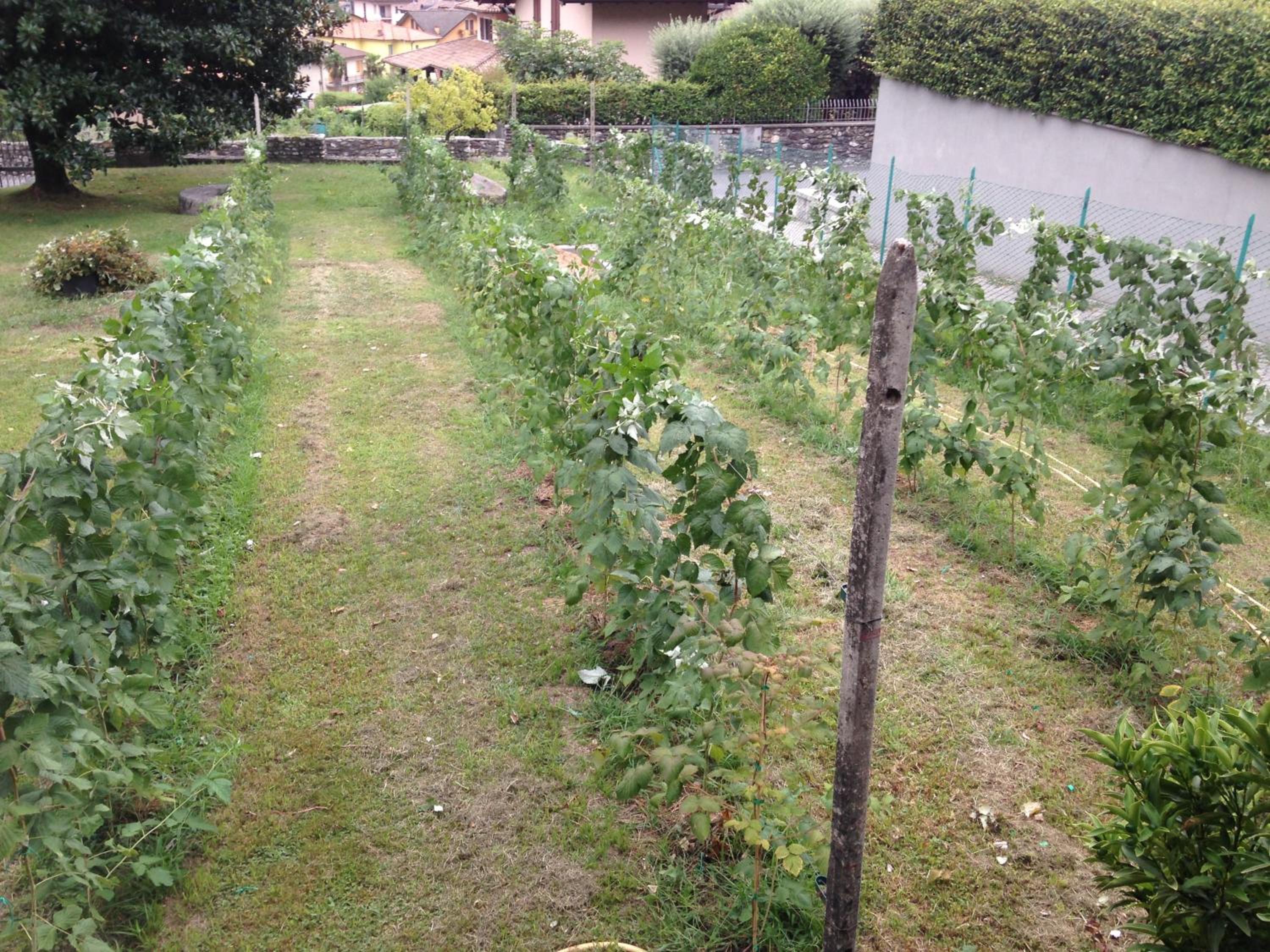 Photo 24