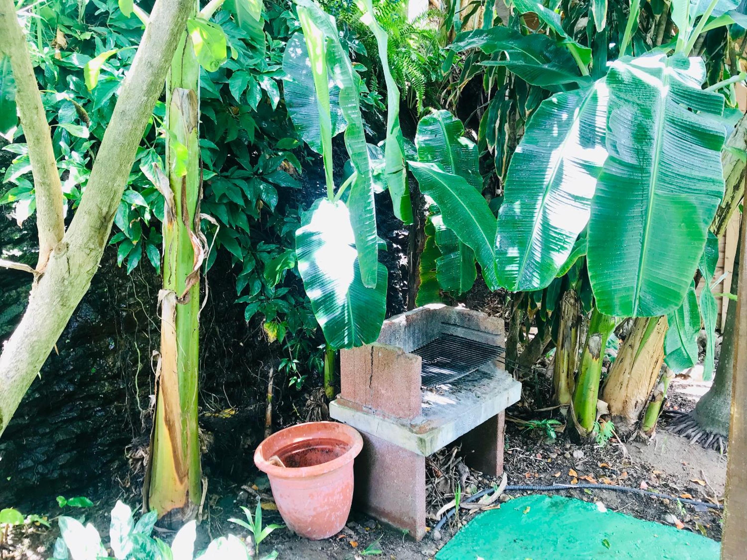 Villa Figues et Mangos view 4