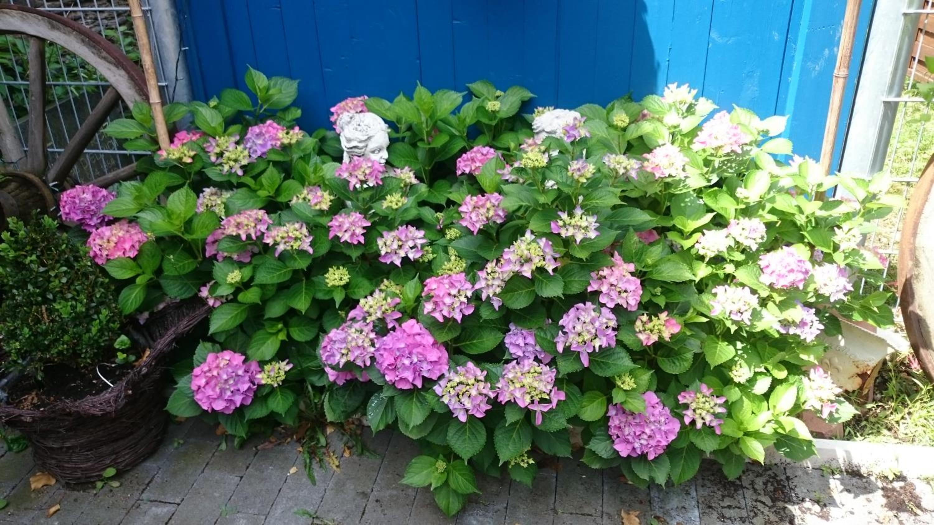 Photo 8