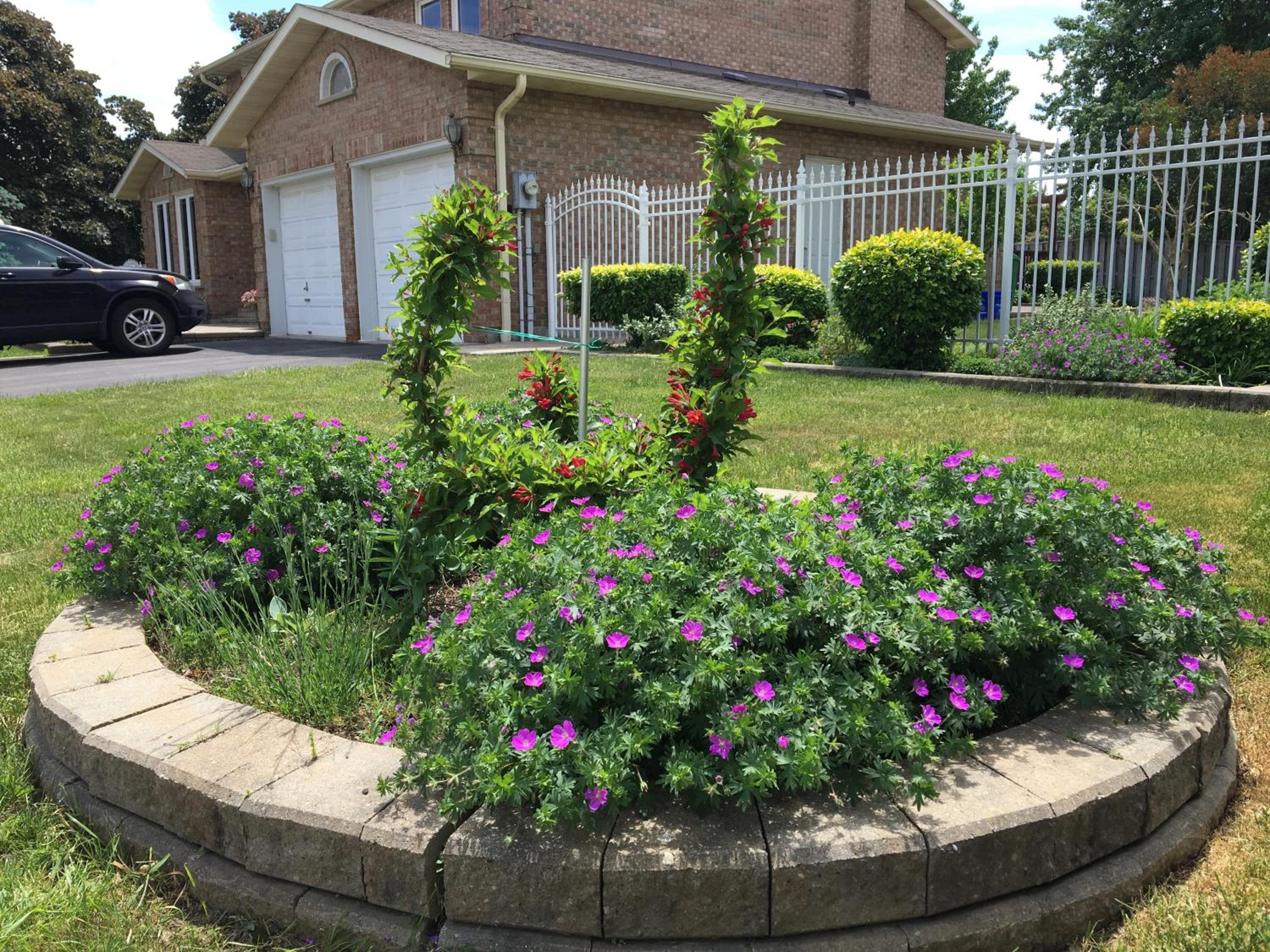 Photo 19