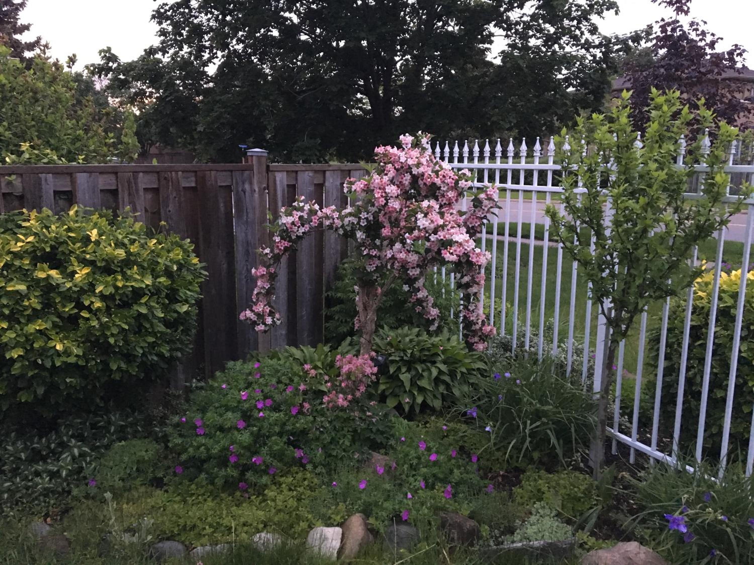 Photo 13