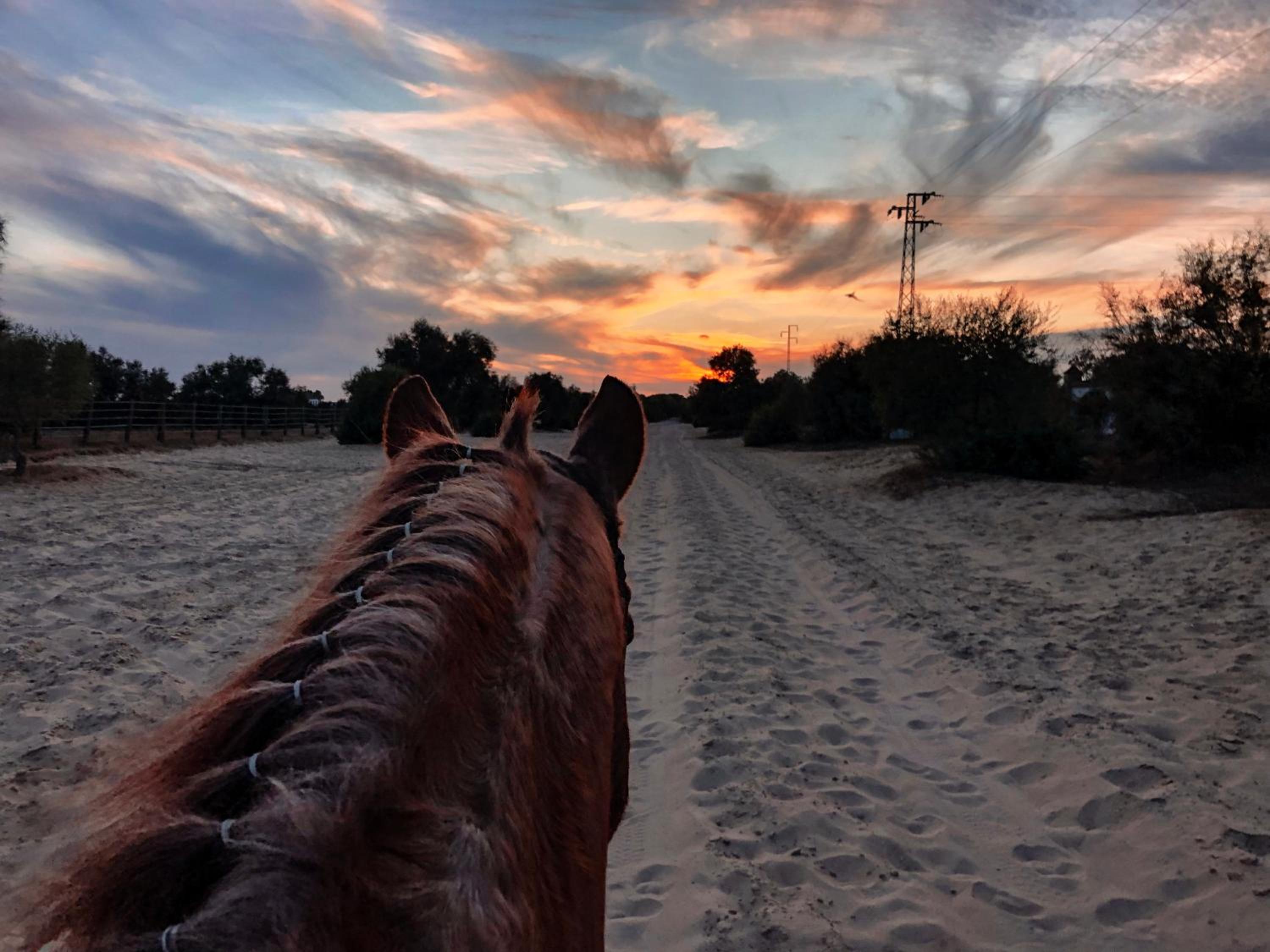 other