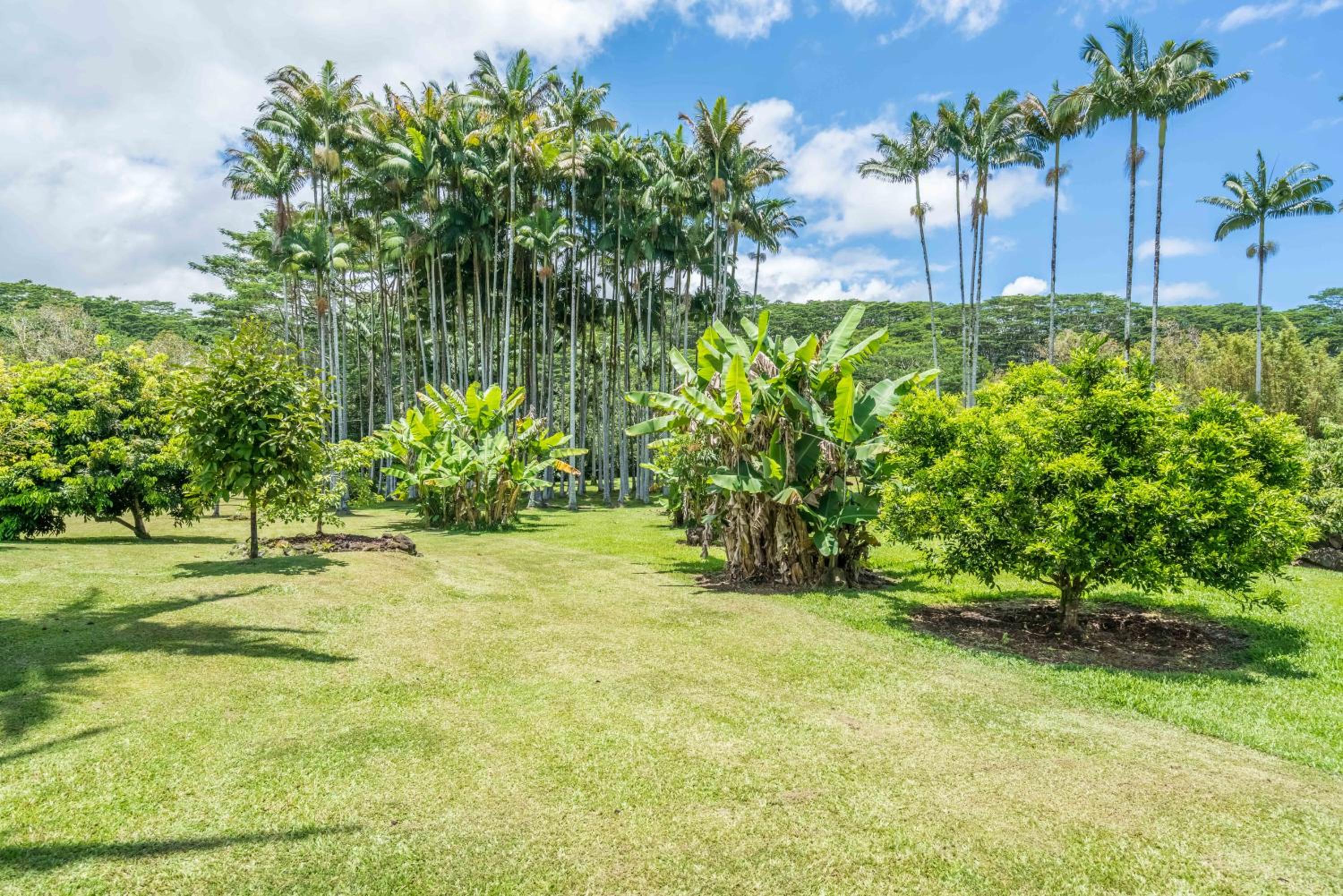 Old Hawaiian Bed and Breakfast - Property Image 20