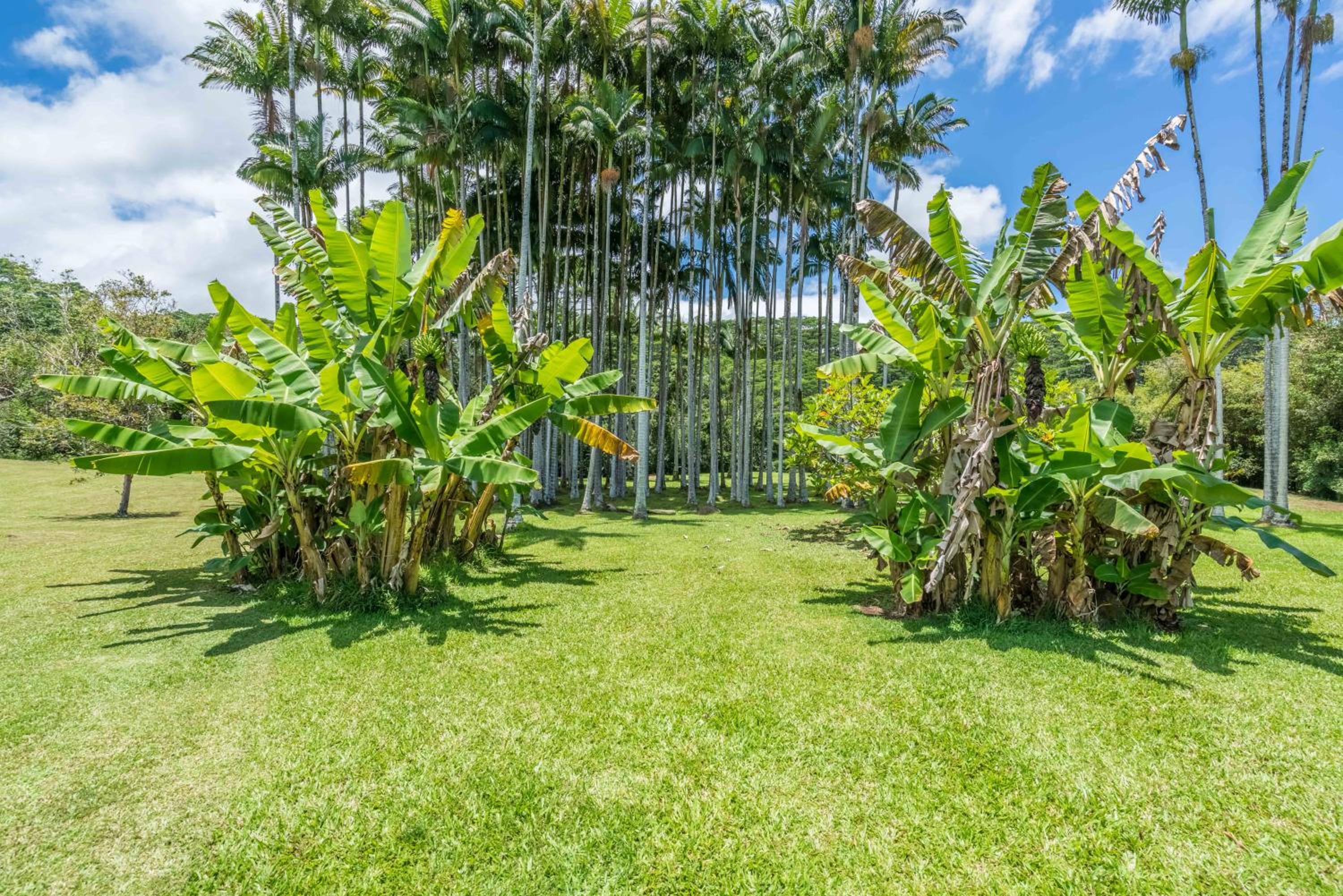 Old Hawaiian Bed and Breakfast - Property Image 18