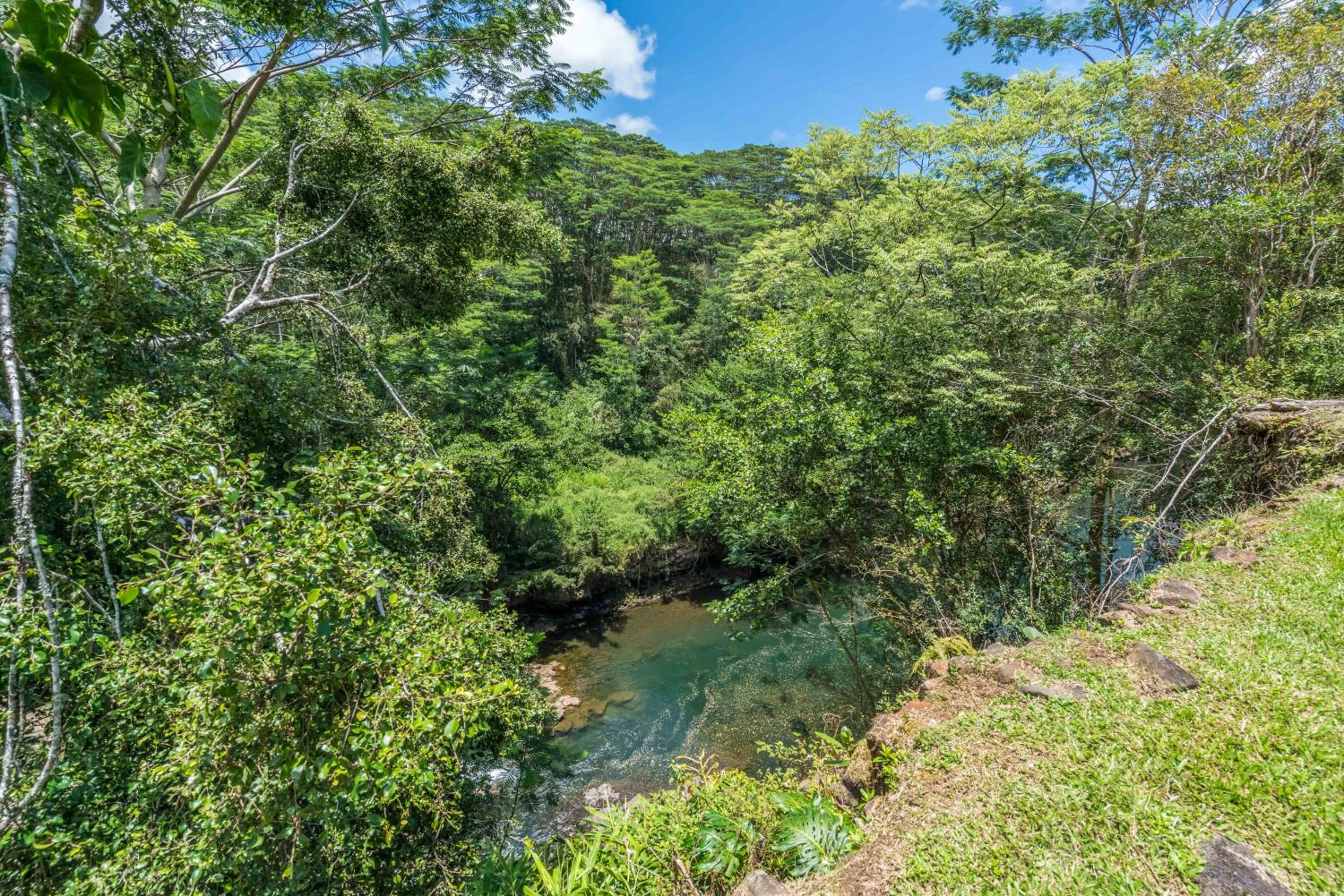 Old Hawaiian Bed and Breakfast - Property Image 16
