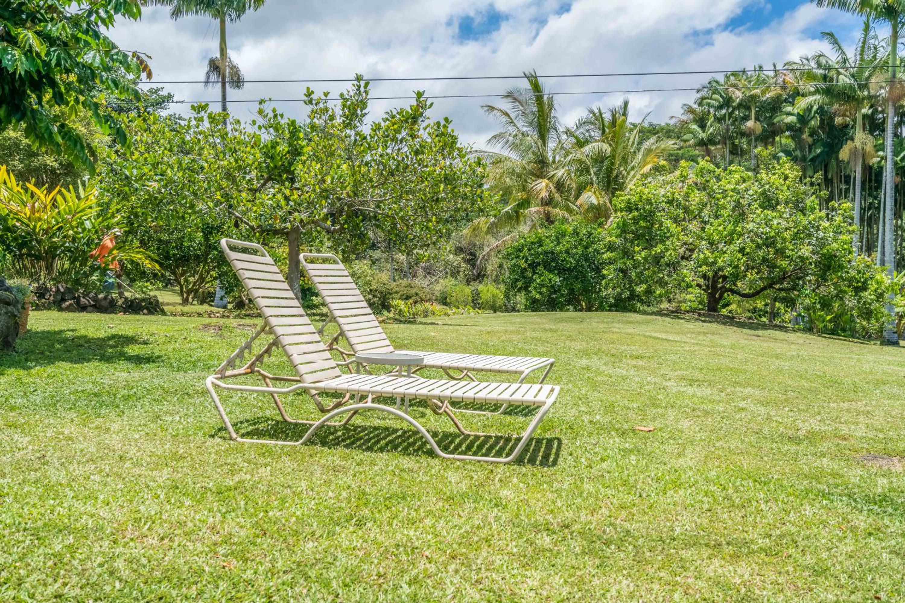 Old Hawaiian Bed and Breakfast - Property Image 11