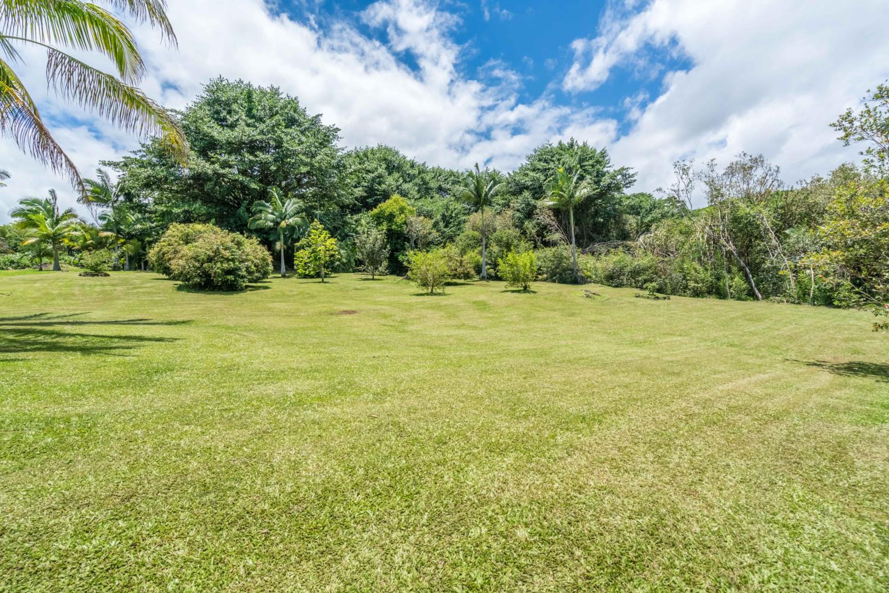 Old Hawaiian Bed and Breakfast - Property Image 6
