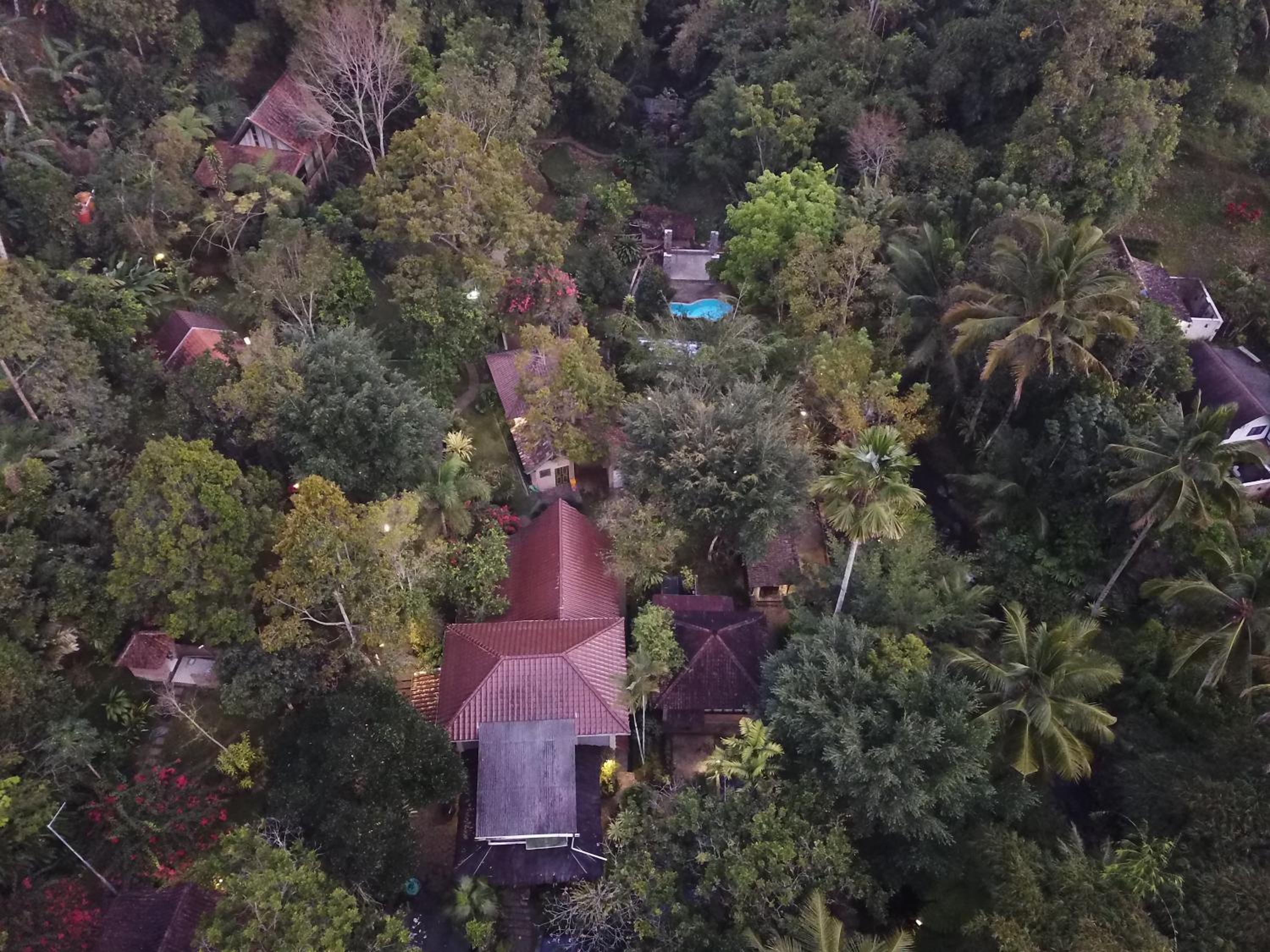 Mi Casa - The gem of Ijen view 5