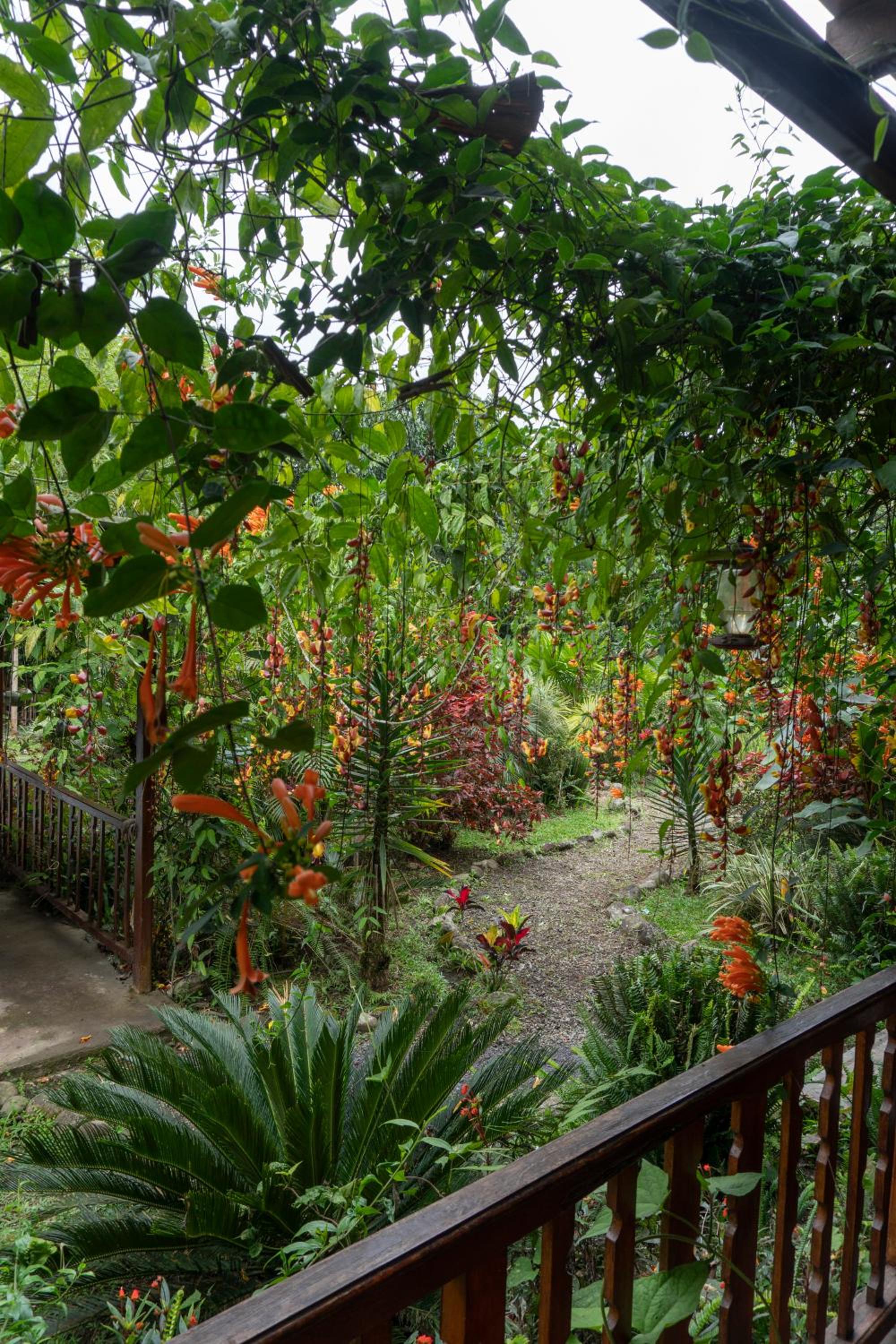 Mindo Green House