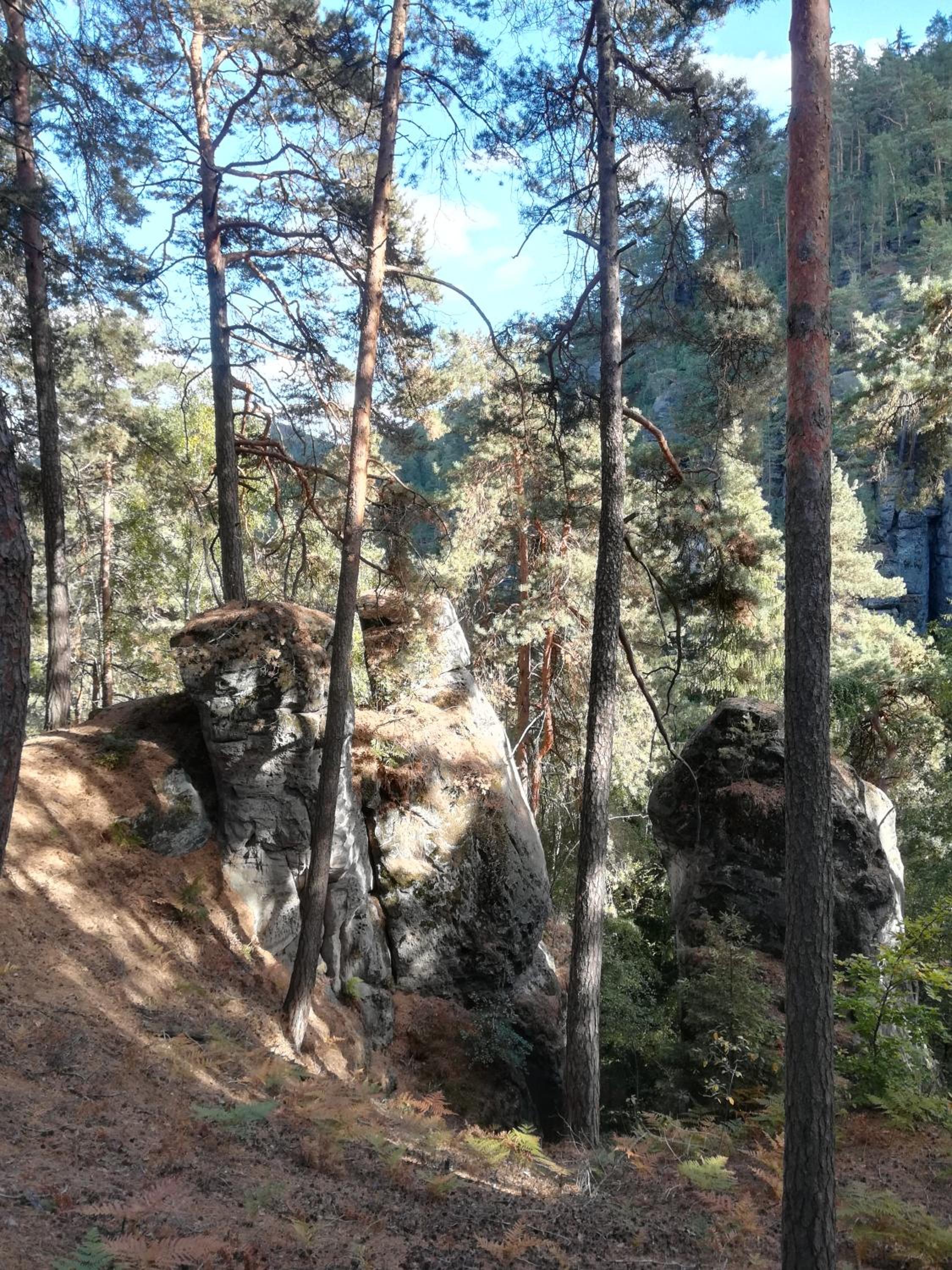 Pension Král
