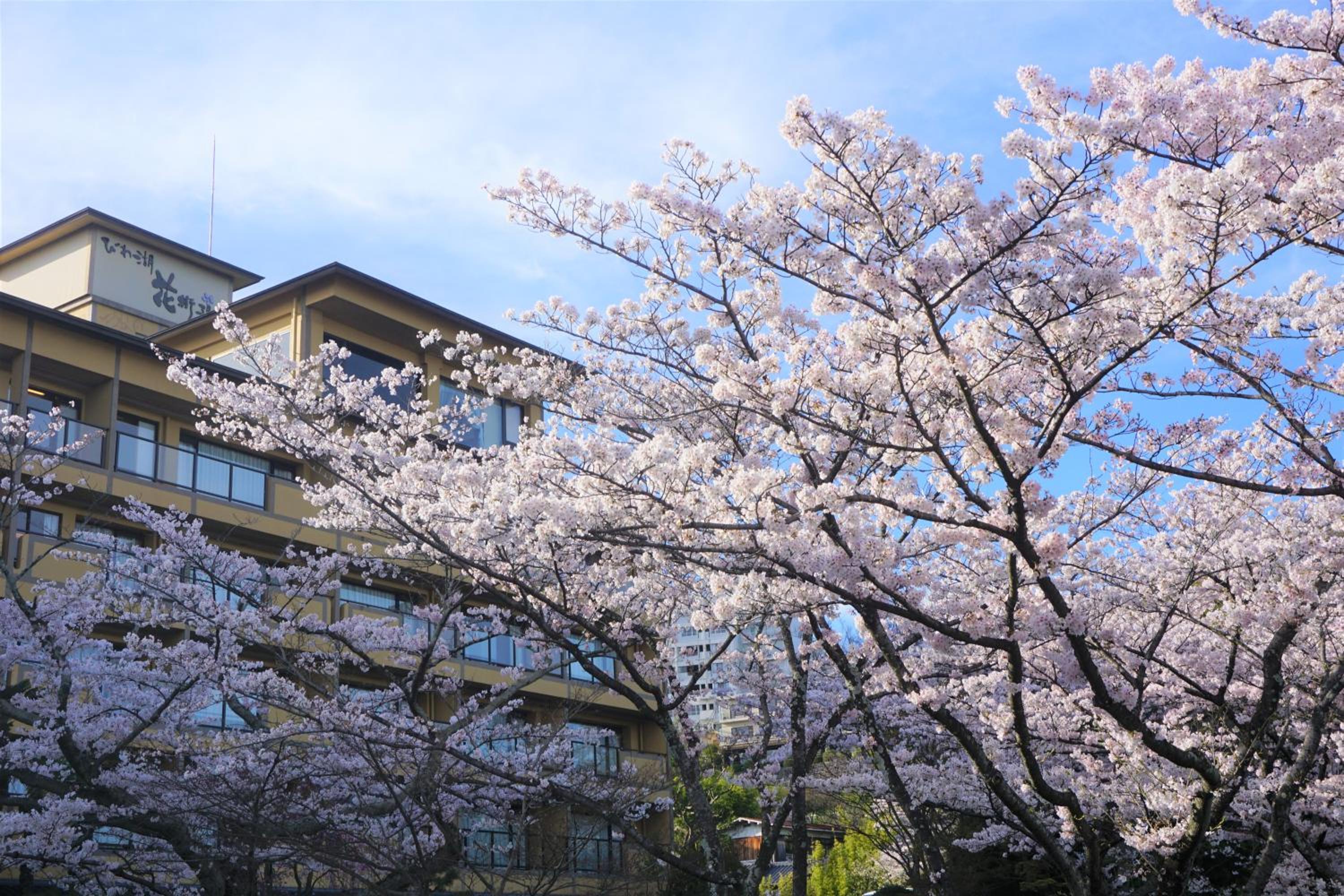Biwako Hanakaido