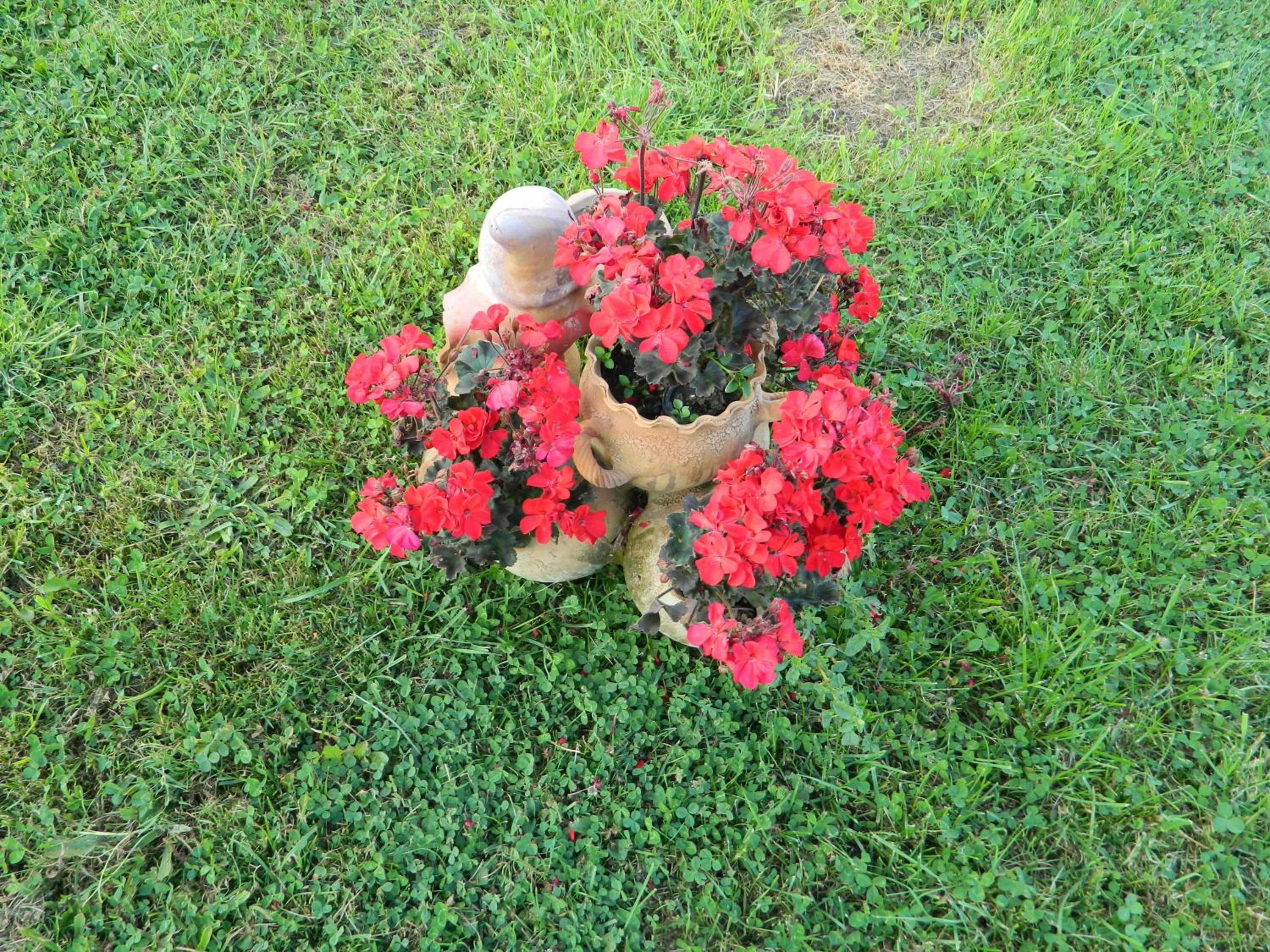 Photo 61