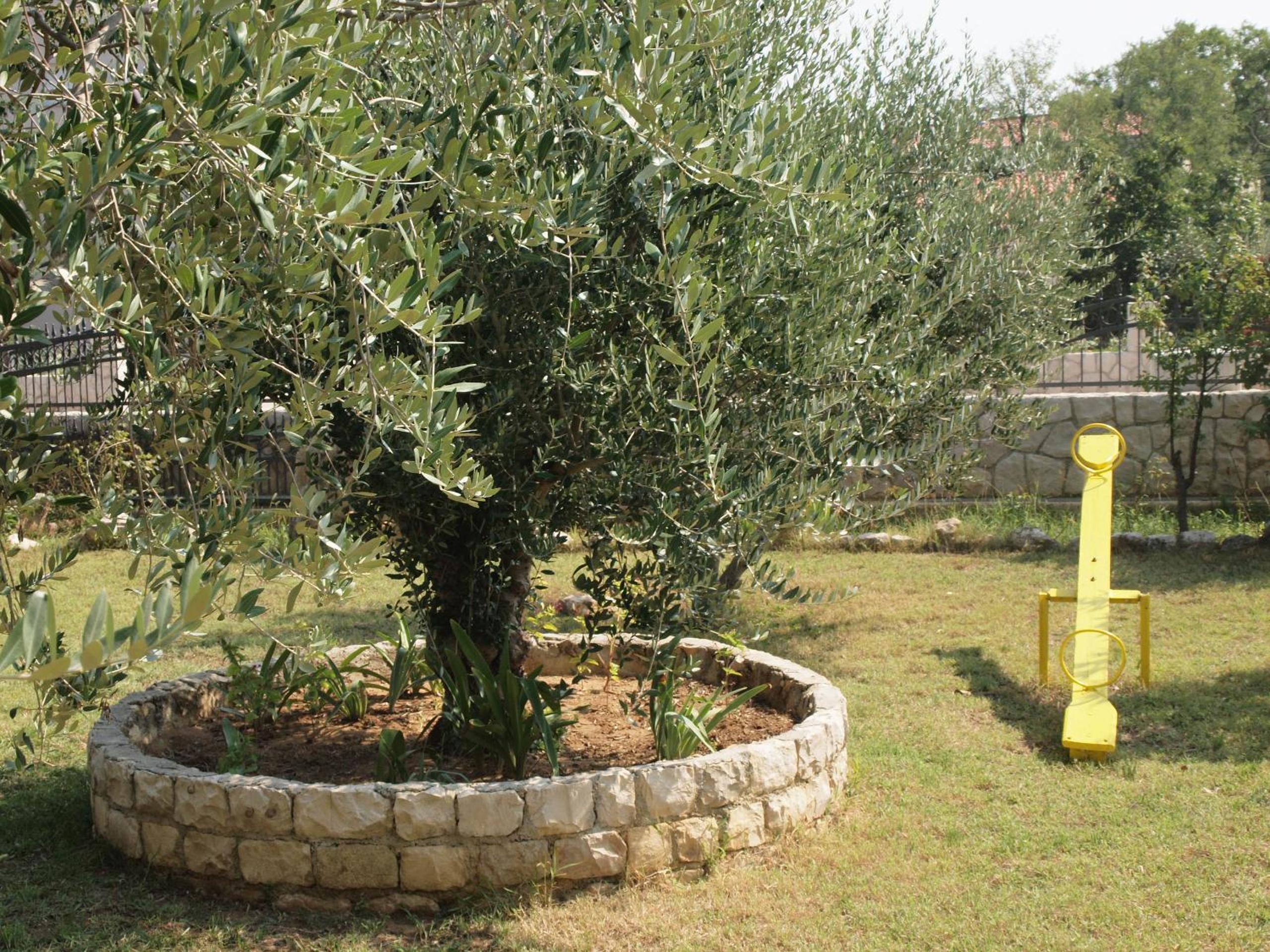 Ana Guest House