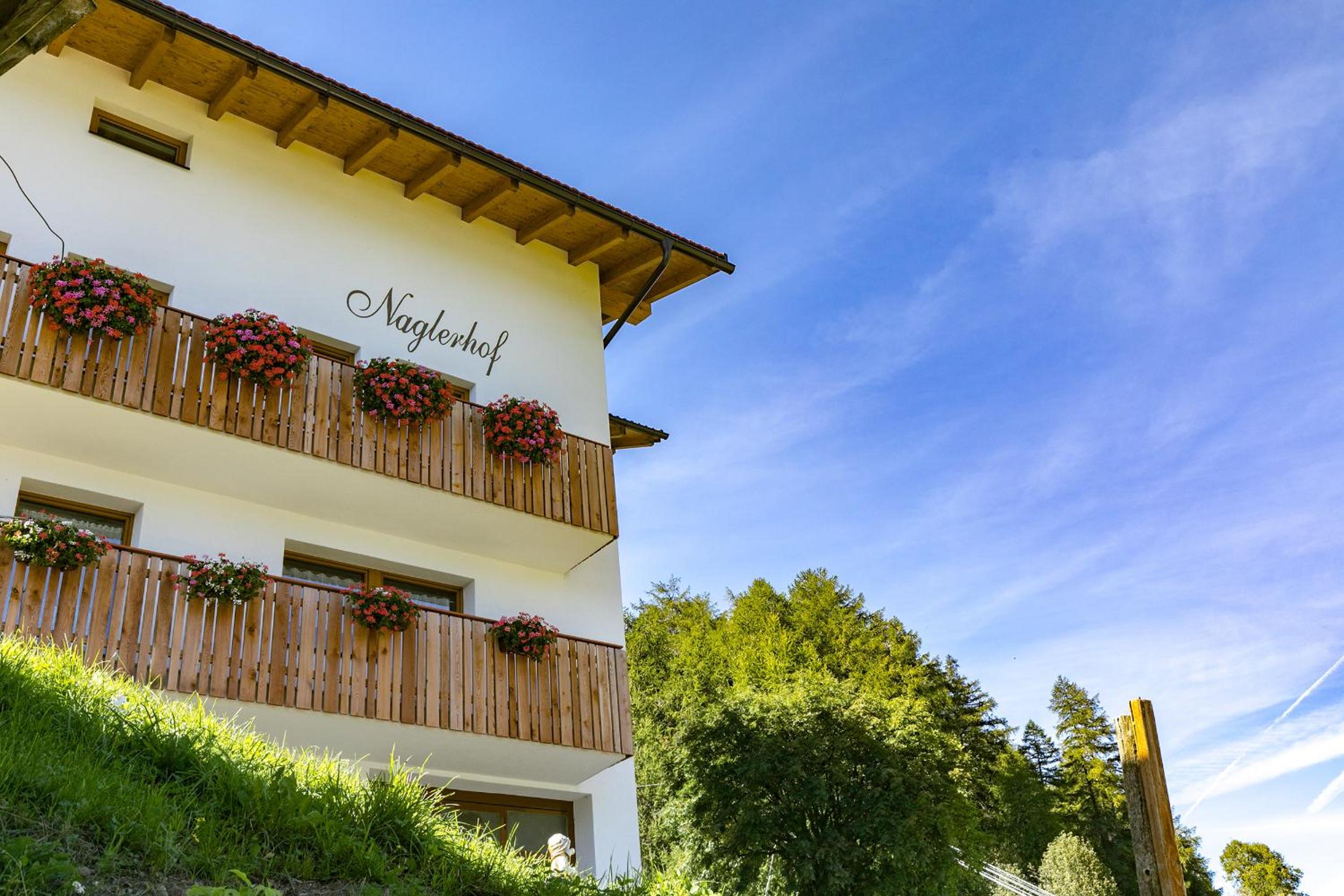 Naglerhof view 3