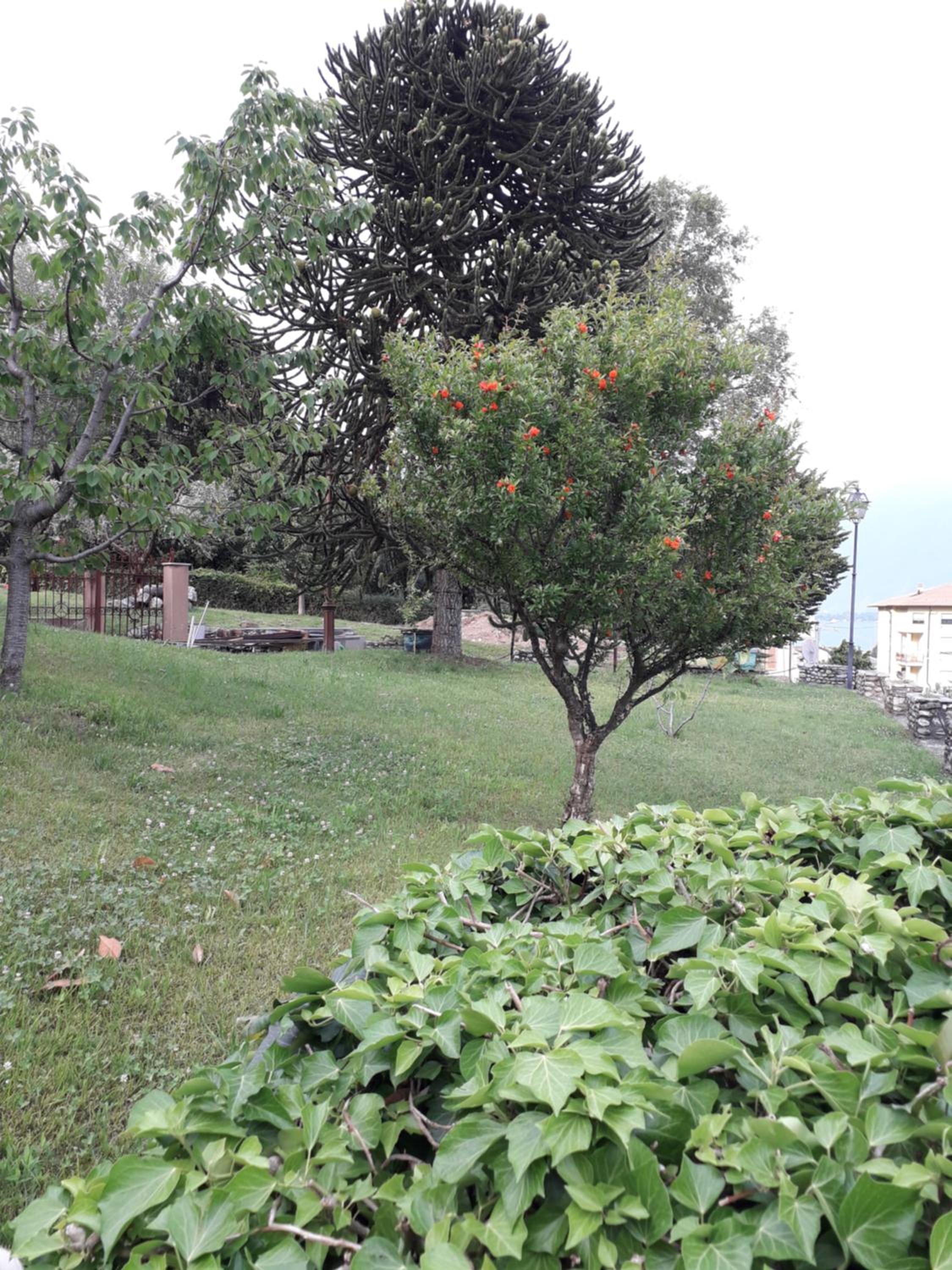 Photo 39