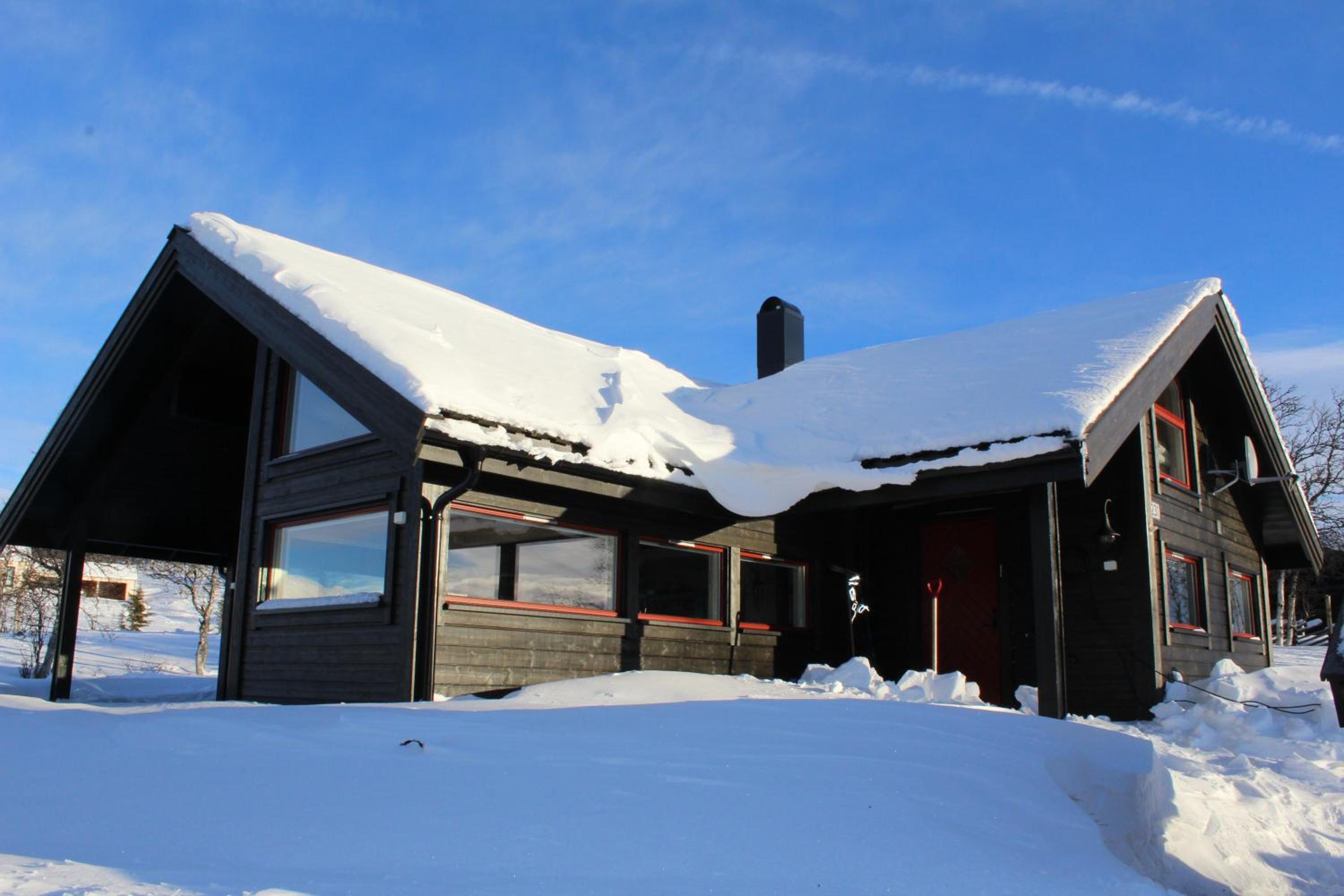 Photo 11