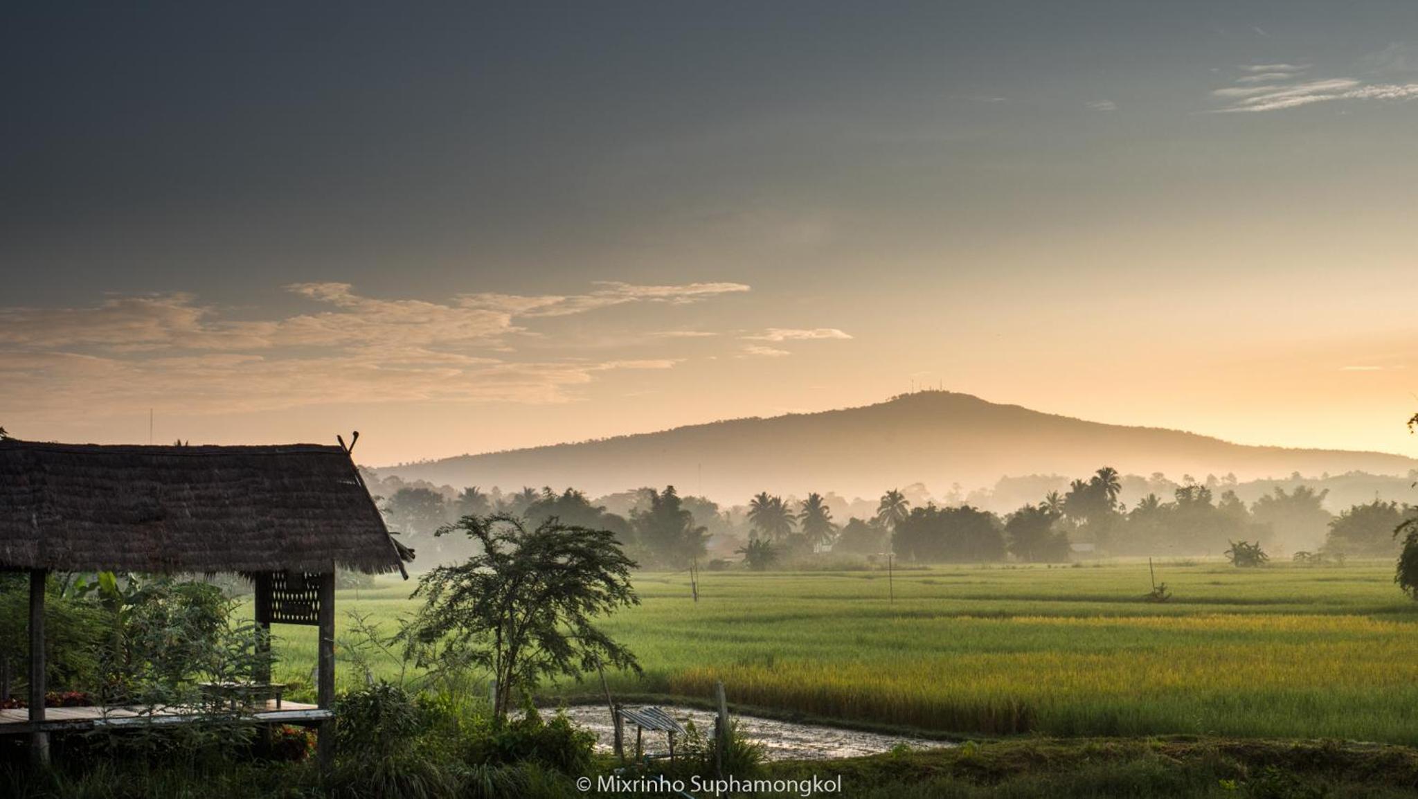 Phuruarounmai Organic Living Resort view 3