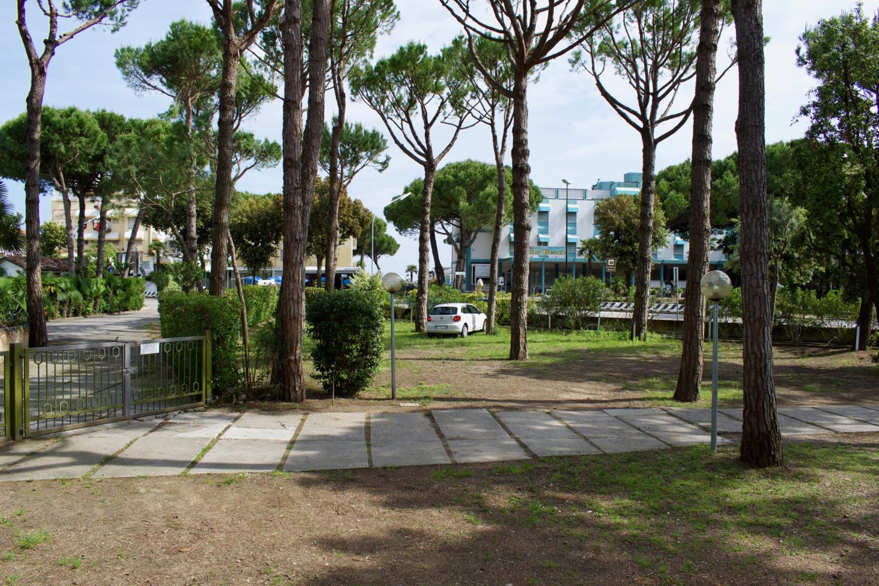 Photo 12