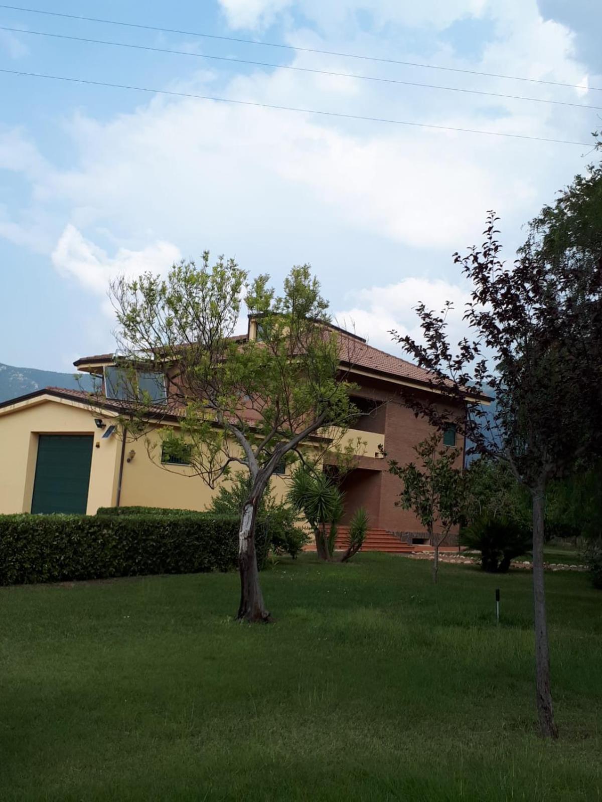 Photo 19
