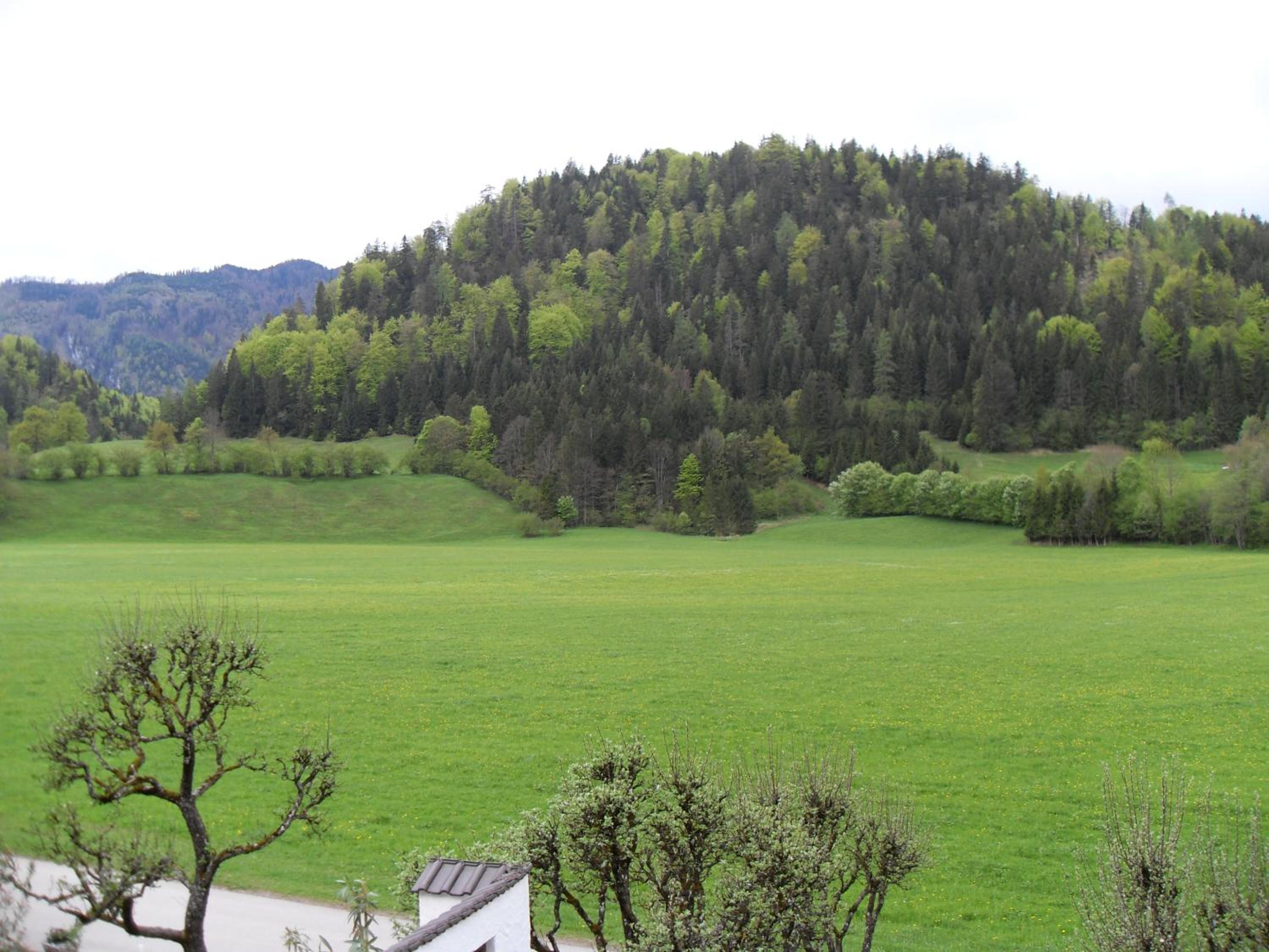 Gasthaus - Pension - Café Dörfl