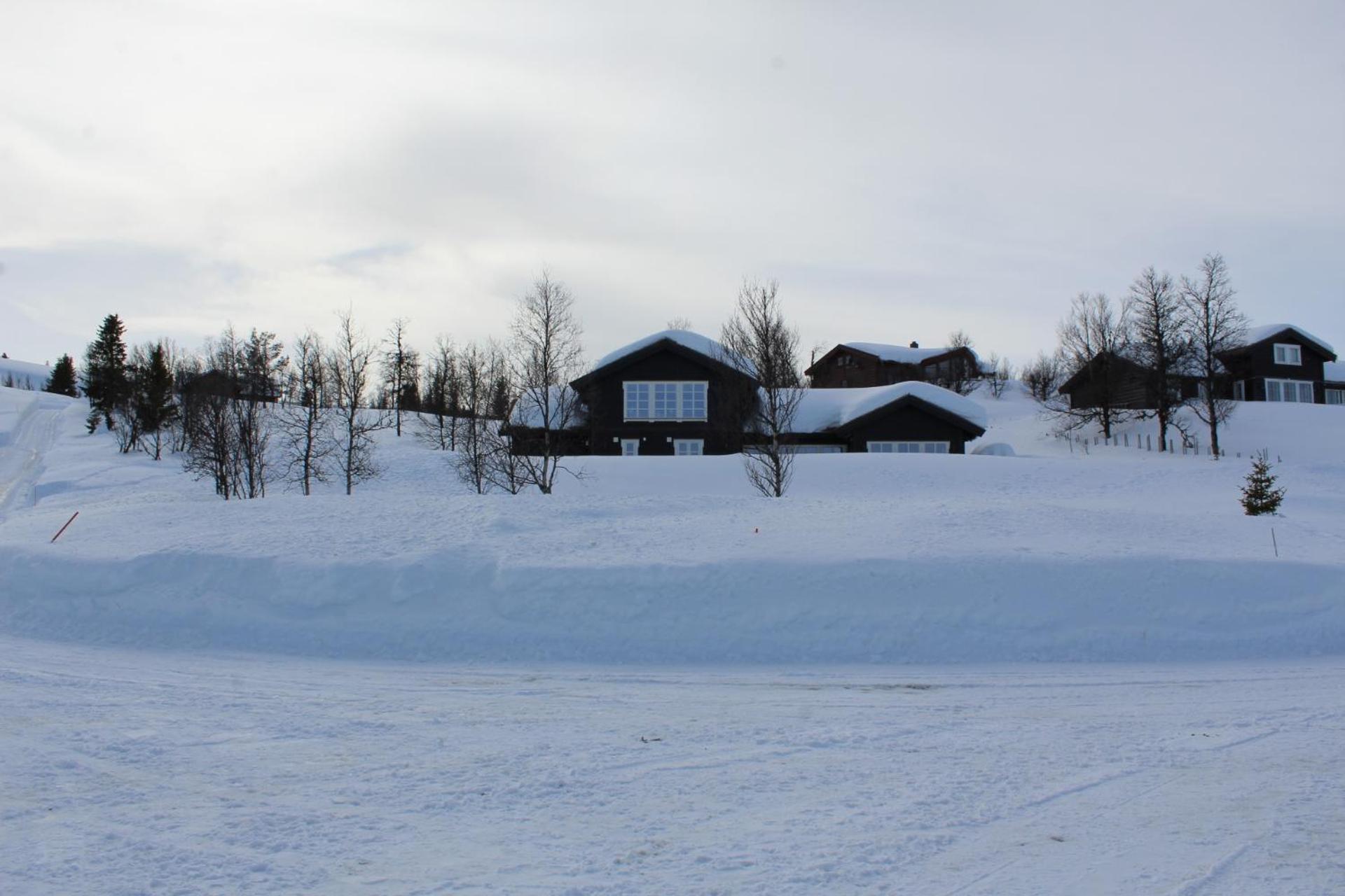Photo 20
