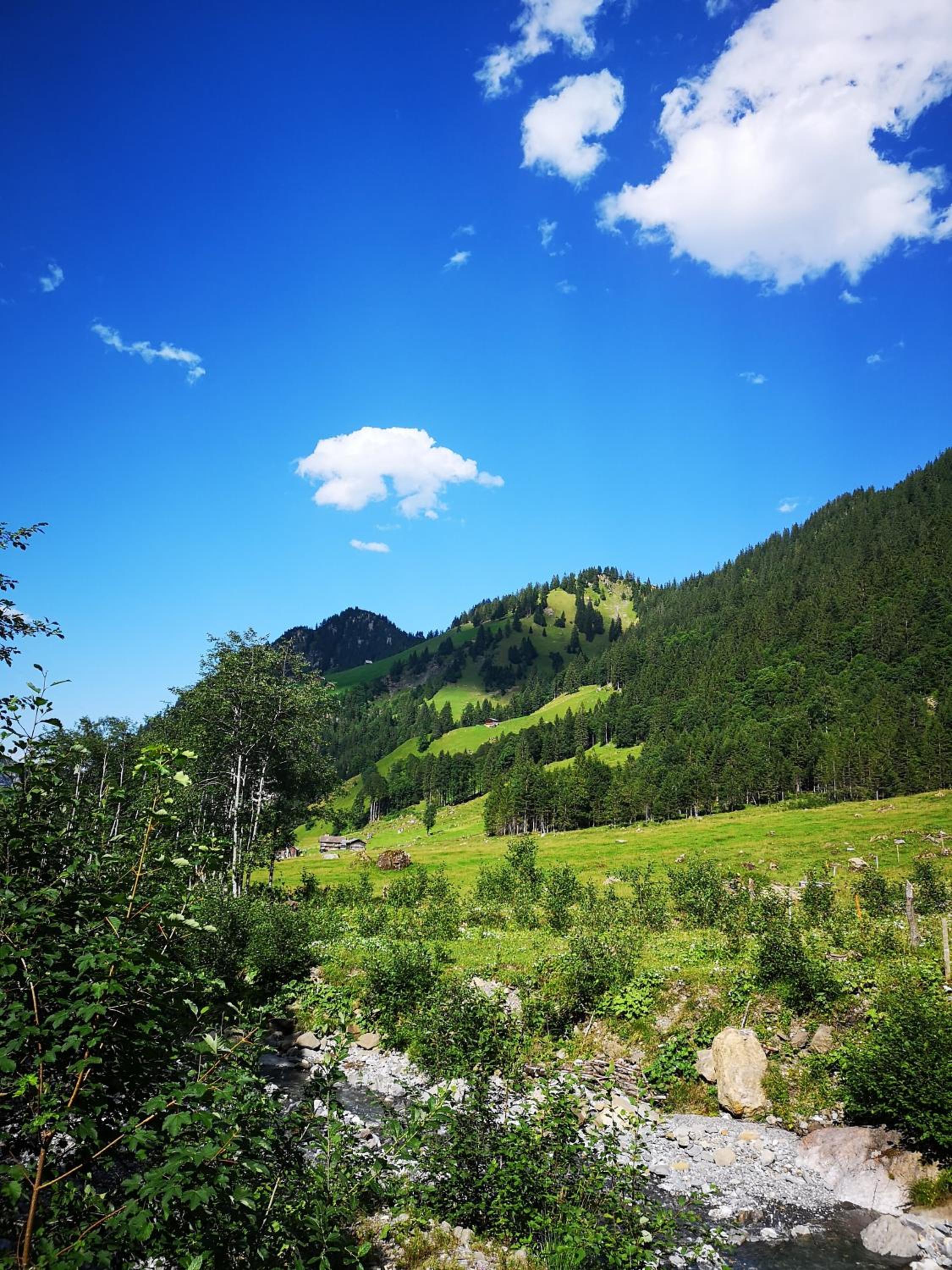 FEWO Rophaienblick