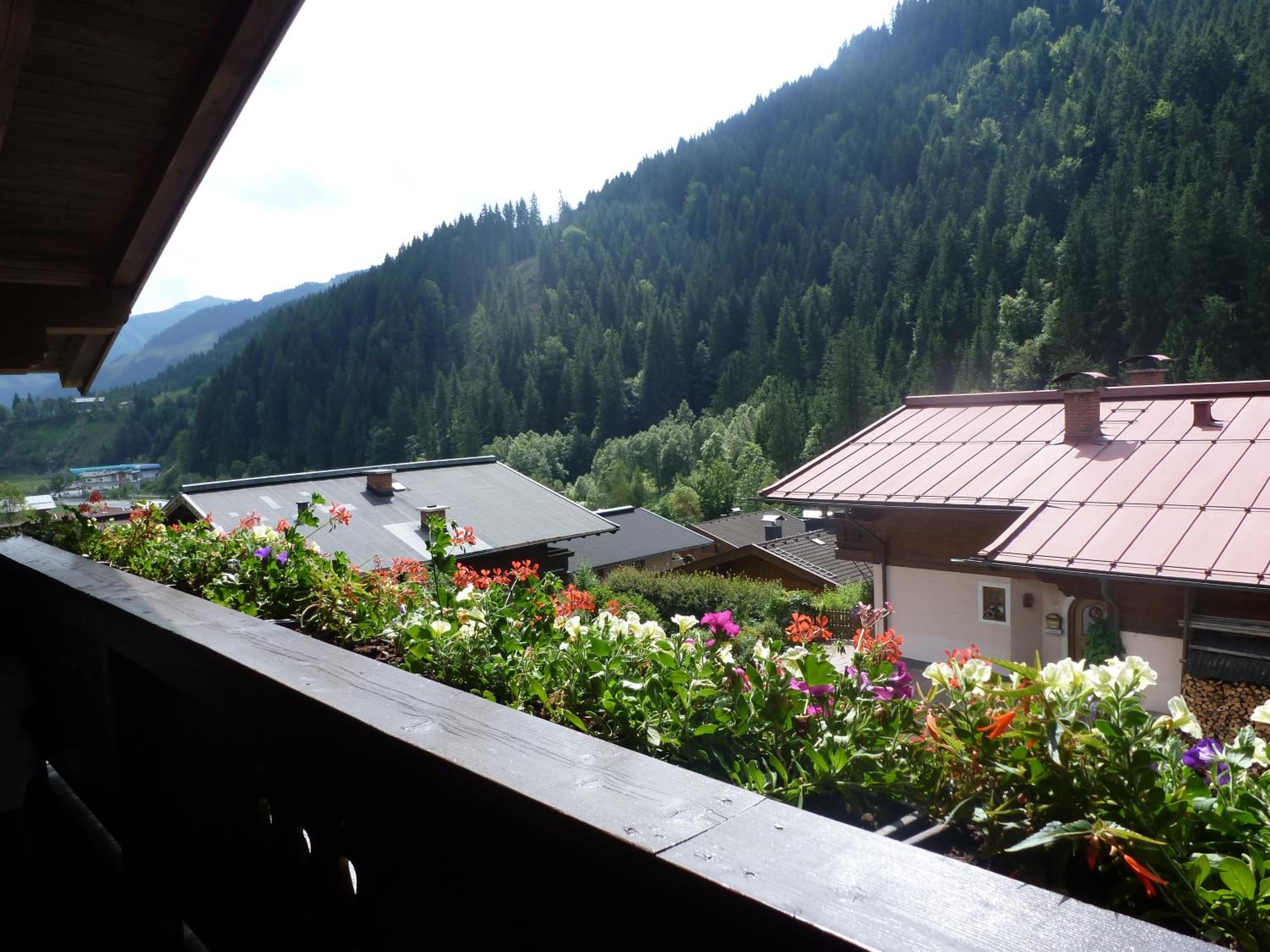 Appartement Ripper