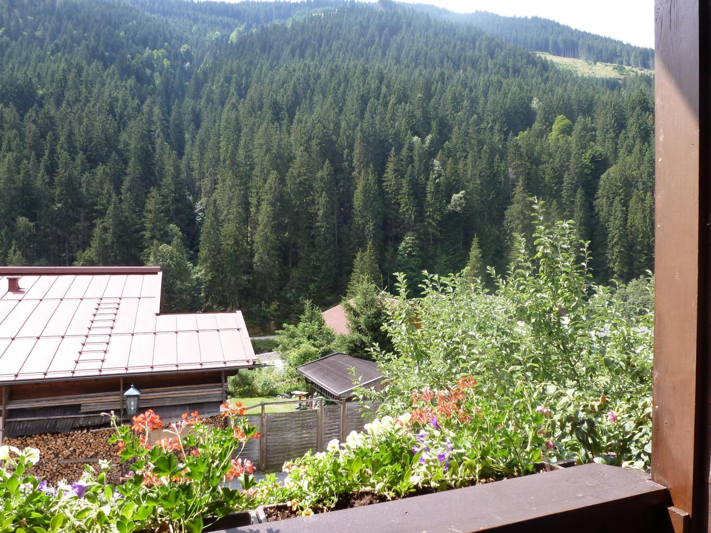 Appartement Ripper