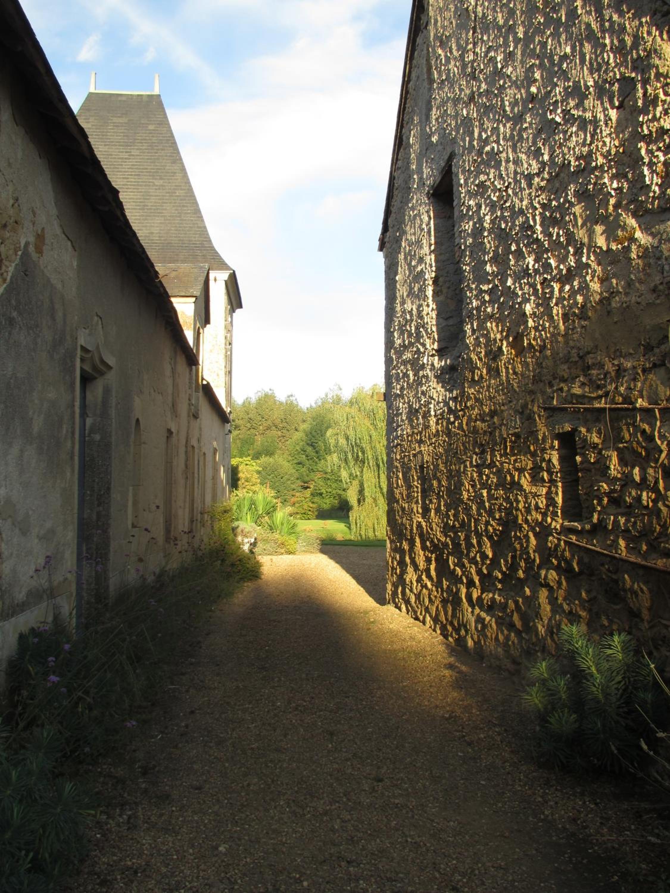 Photo 31