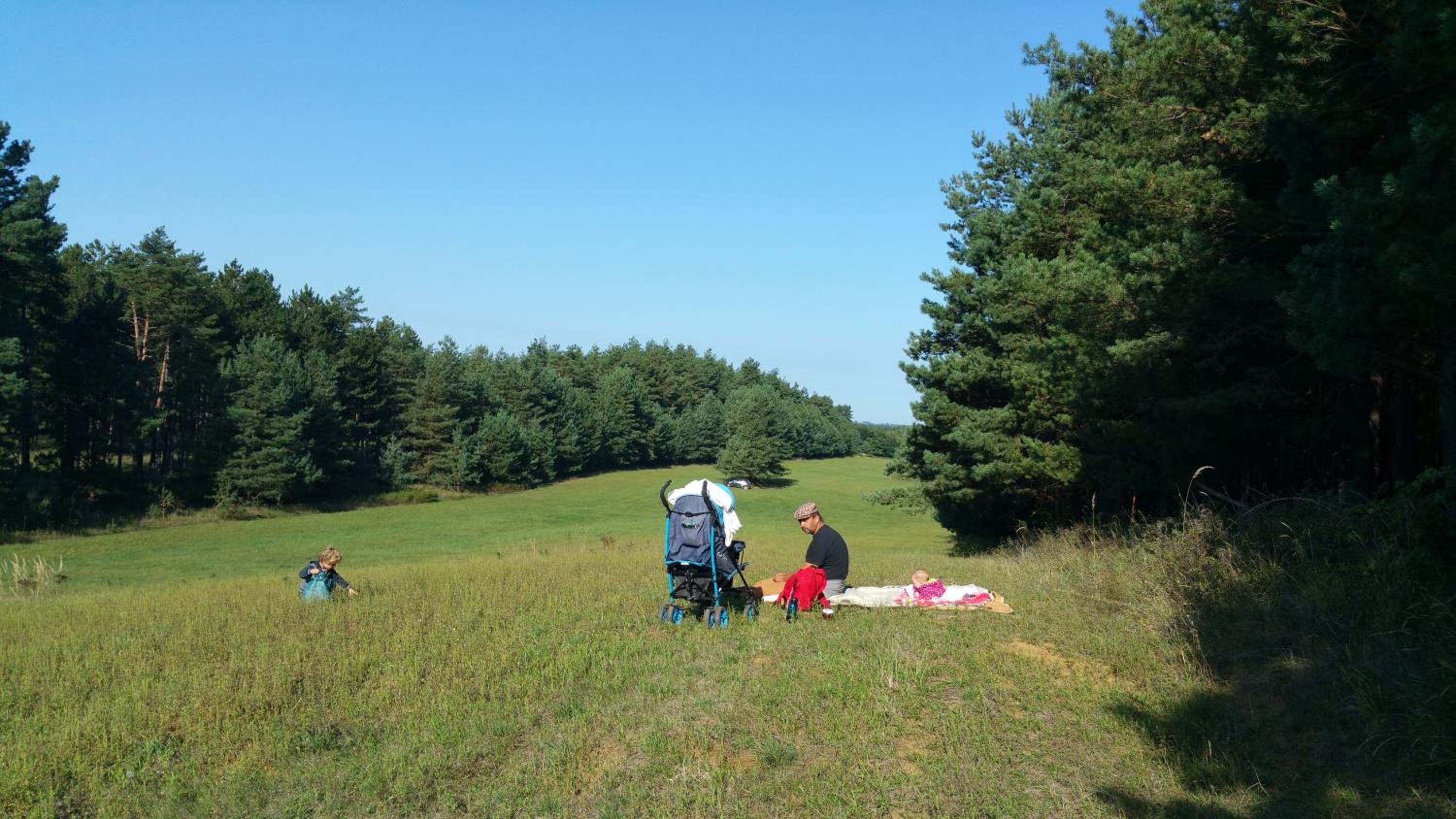 Photo 43