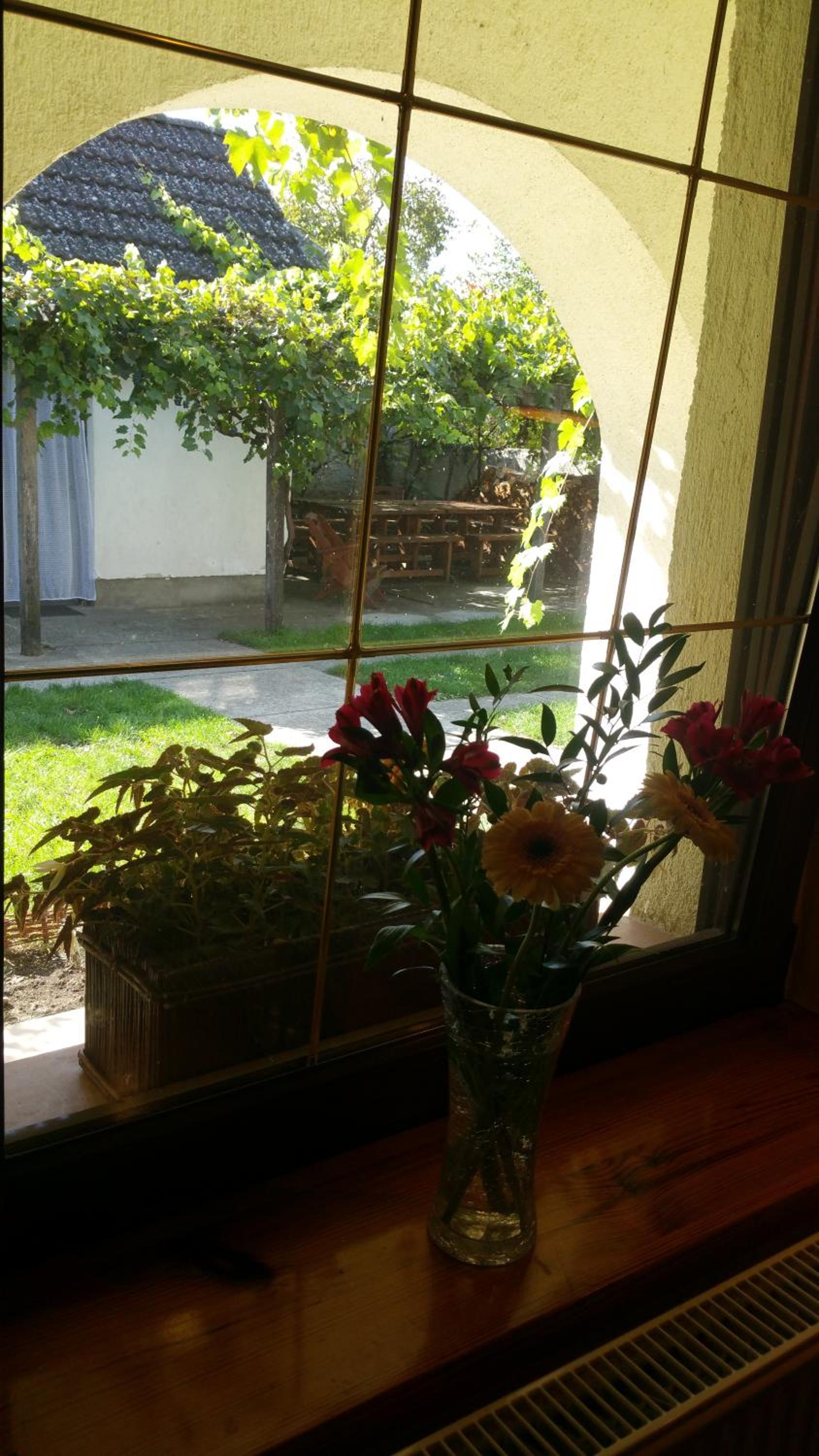 Photo 43