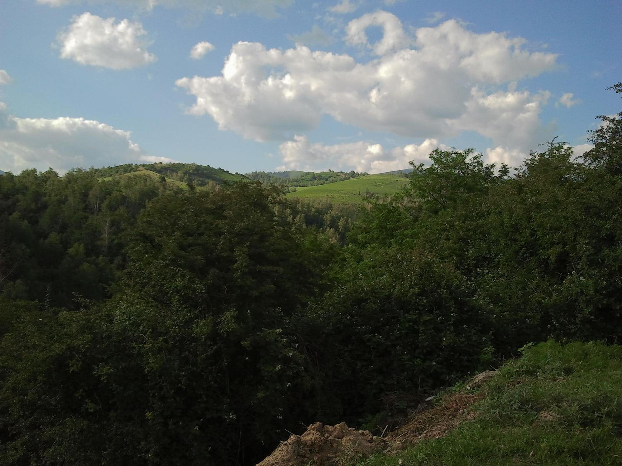 Pensiunea Bogdan view 2