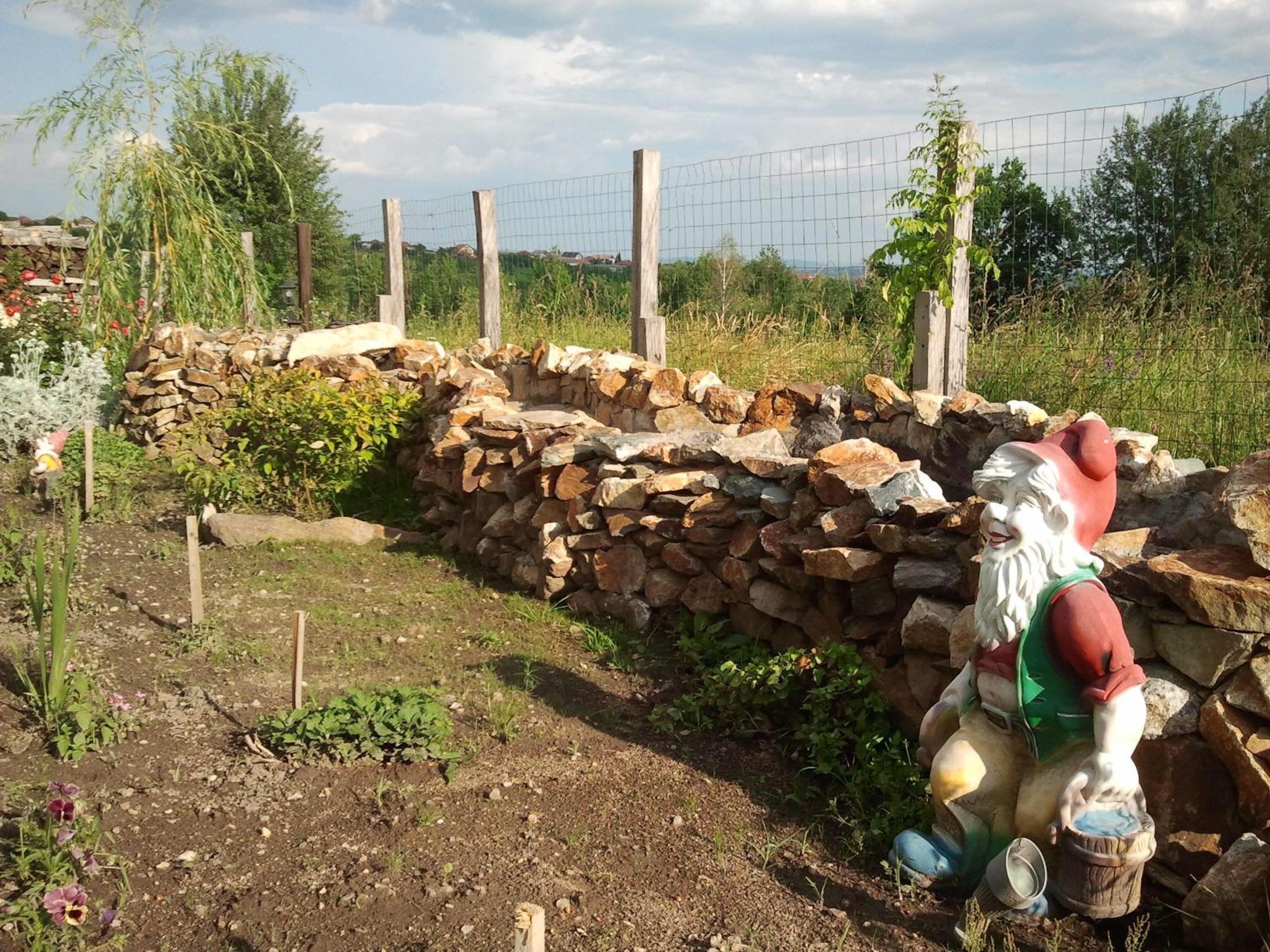 Photo 22