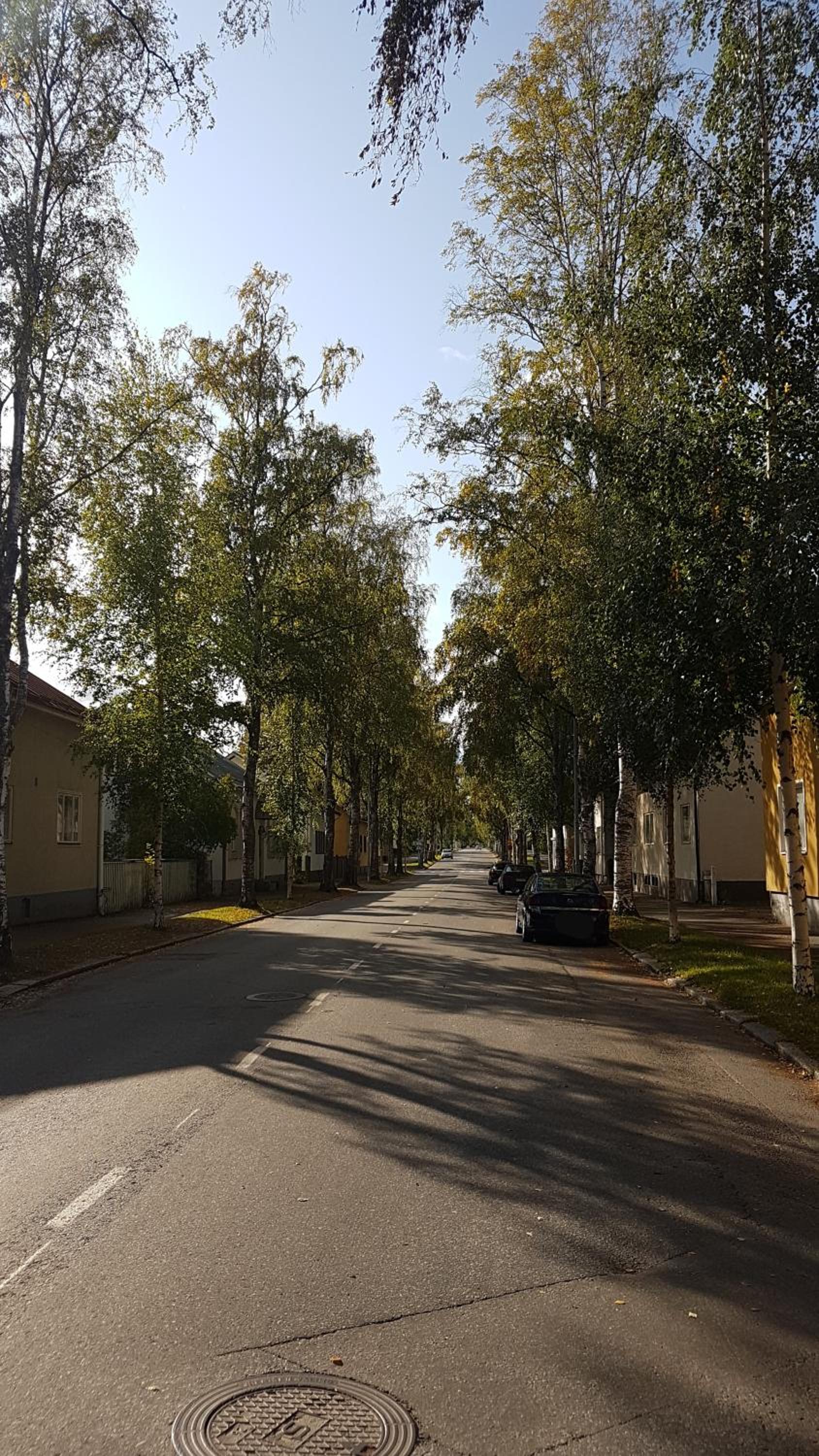 Apartment Lintu