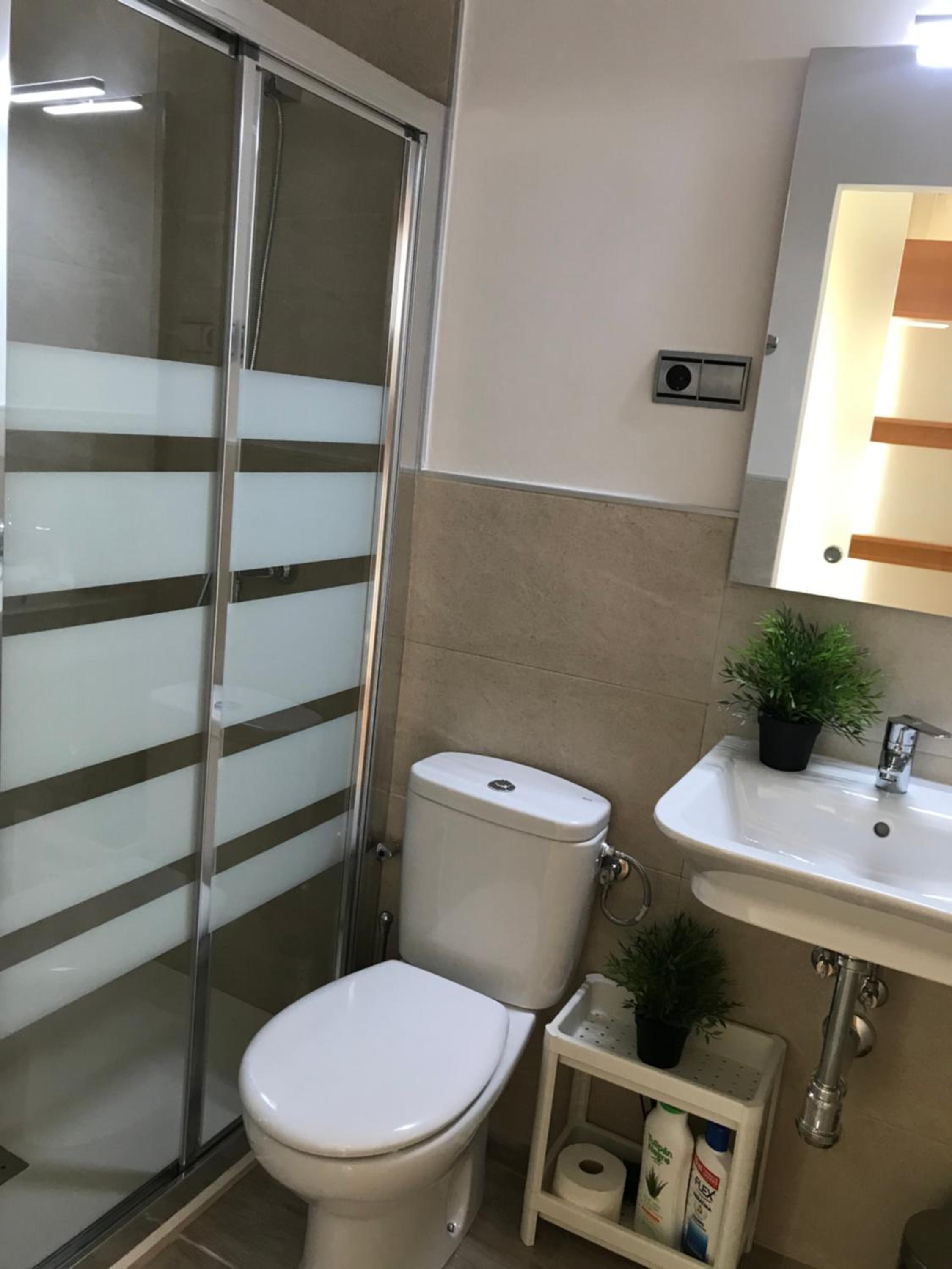 Apartamentos Centro Malaga