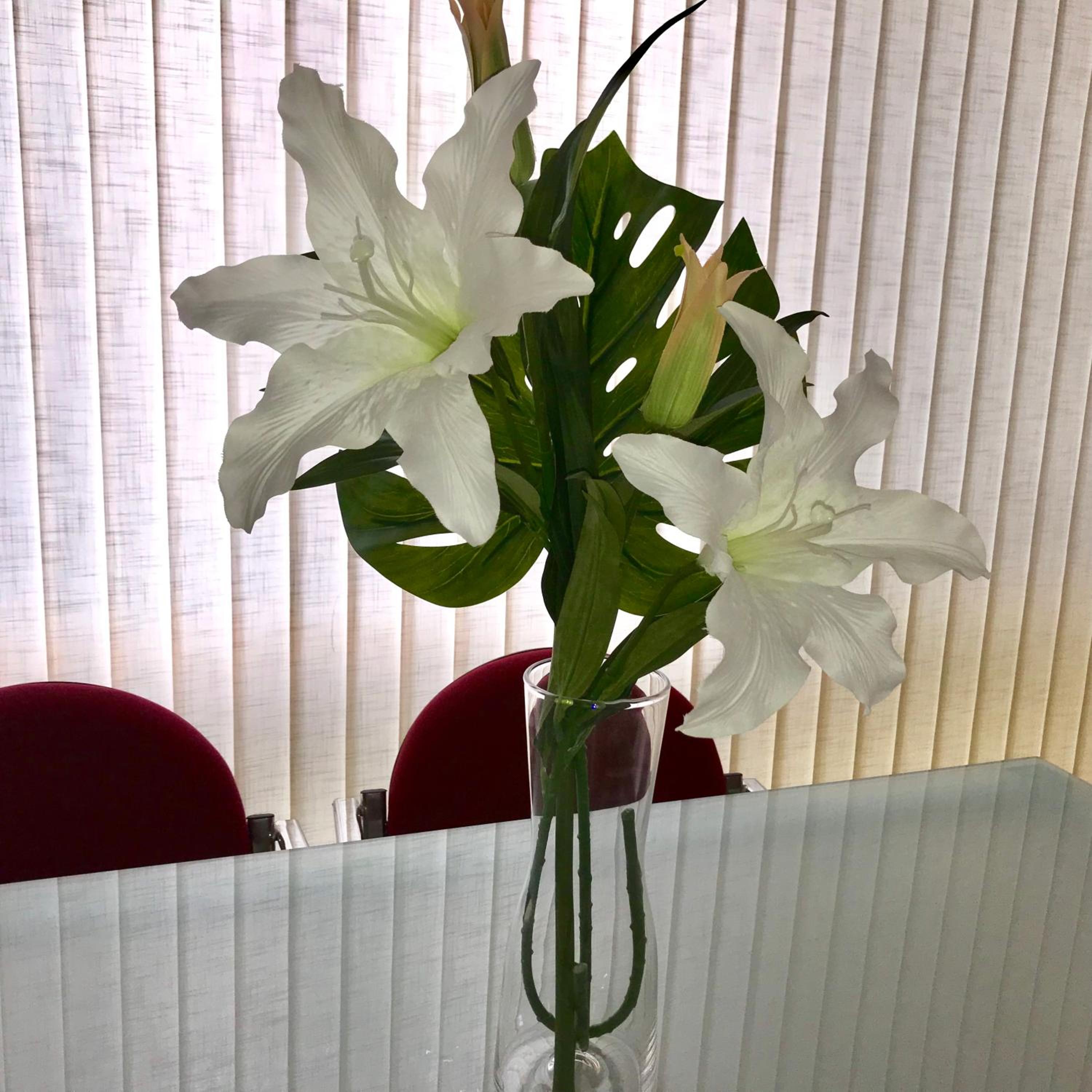 Apartamentos Centro Malaga