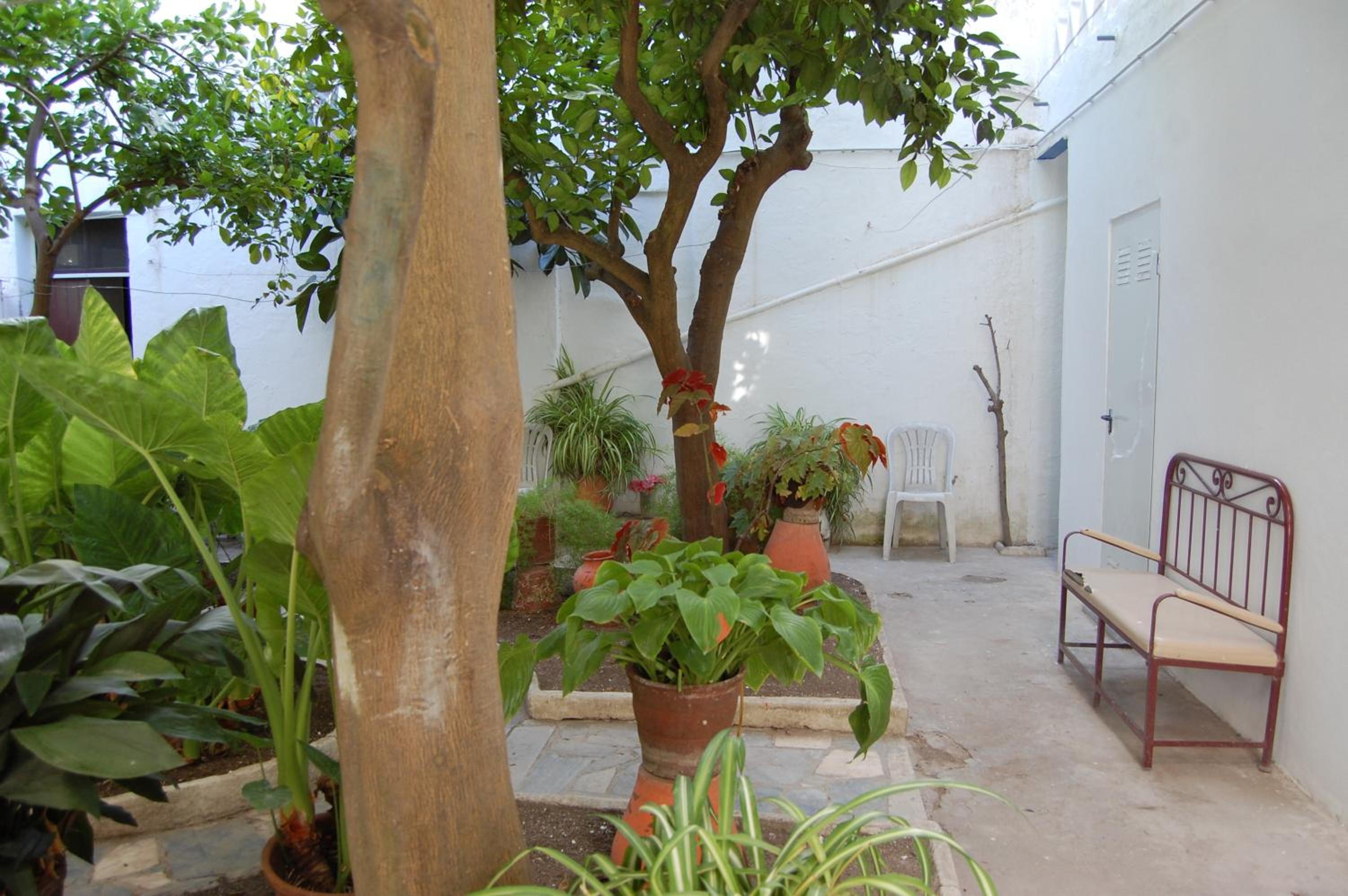 Photo 36