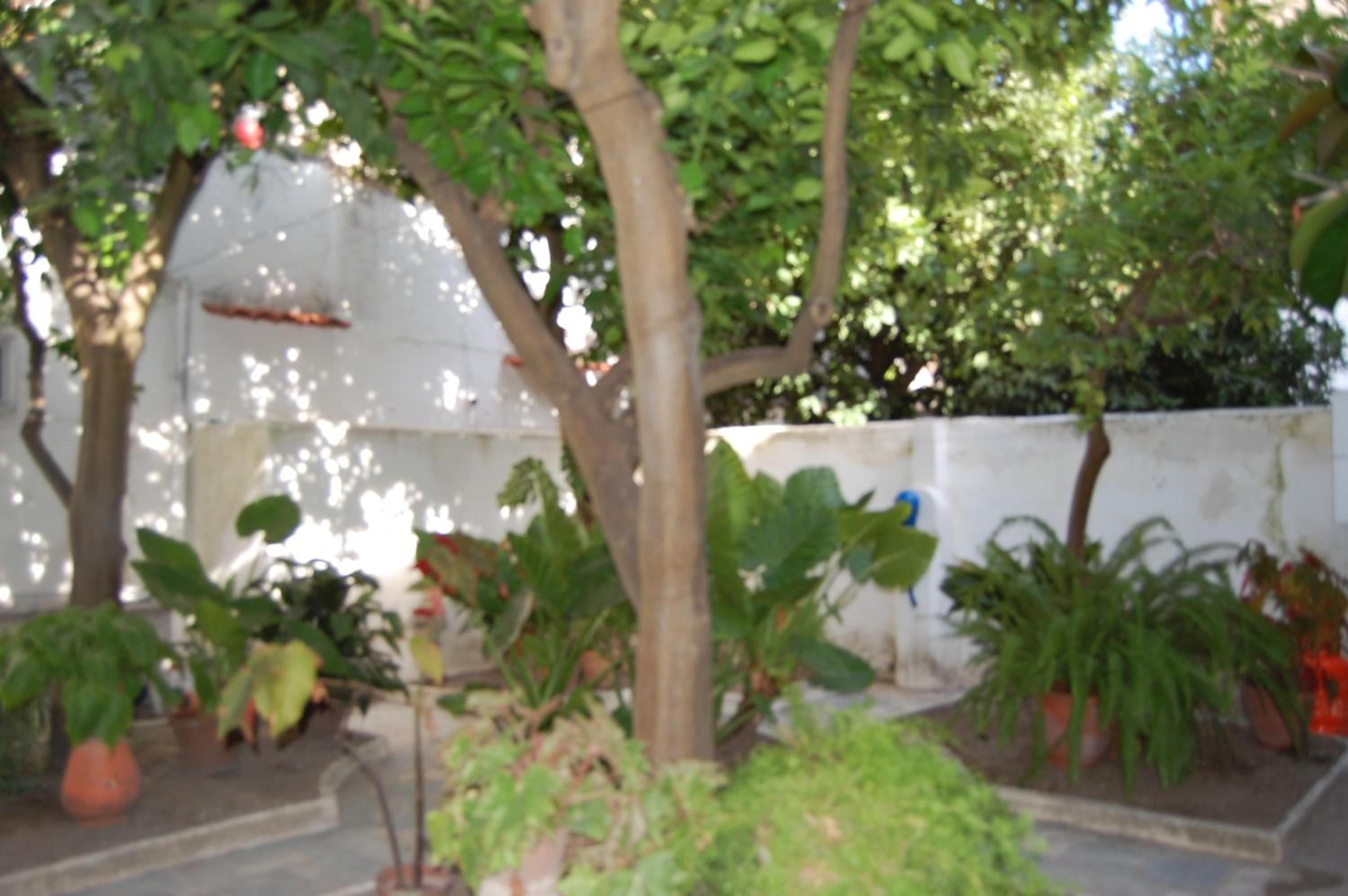 Photo 37